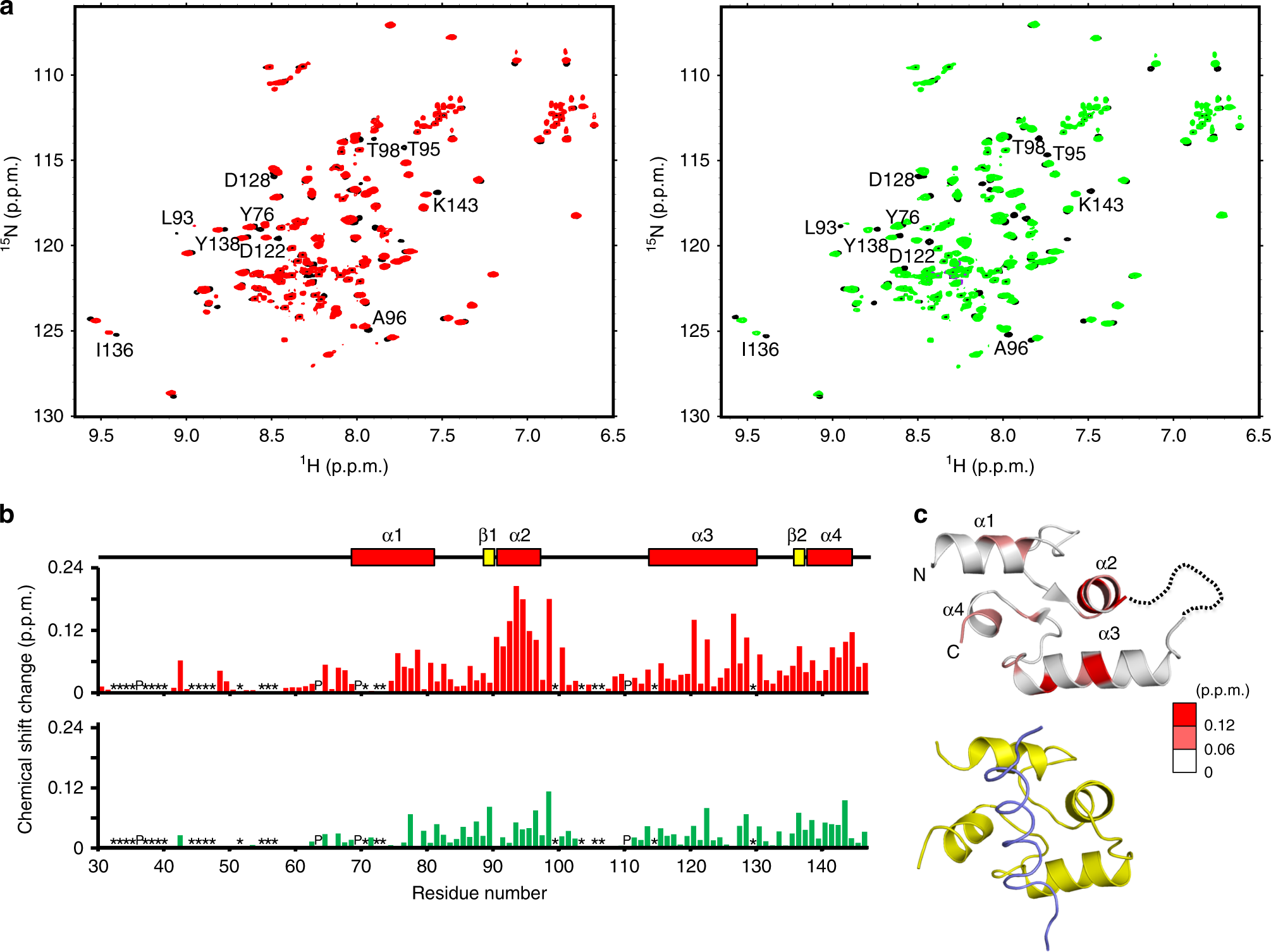 Fig. 2: MCFD2 interacts with FVIII through the canonical ligand-binding site of EF-hand proteins.