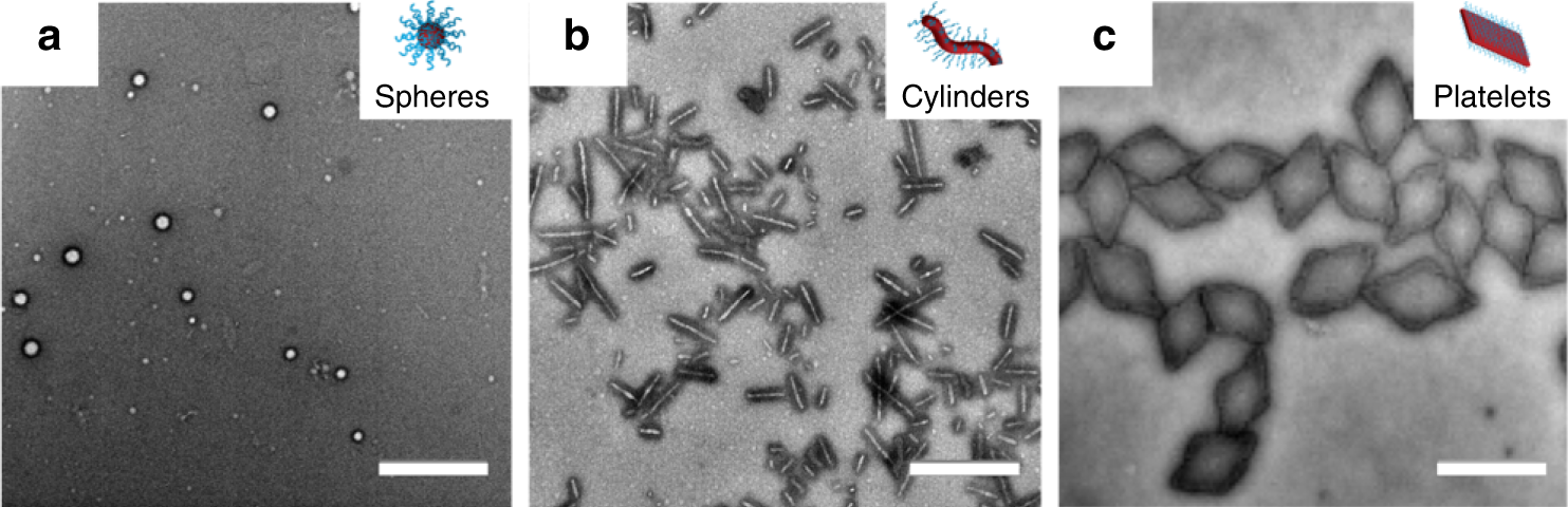 Exploiting The Role Of Nanoparticle Shape In Enhancing Hydrogel Adhesive And Mechanical Properties Nature Communications