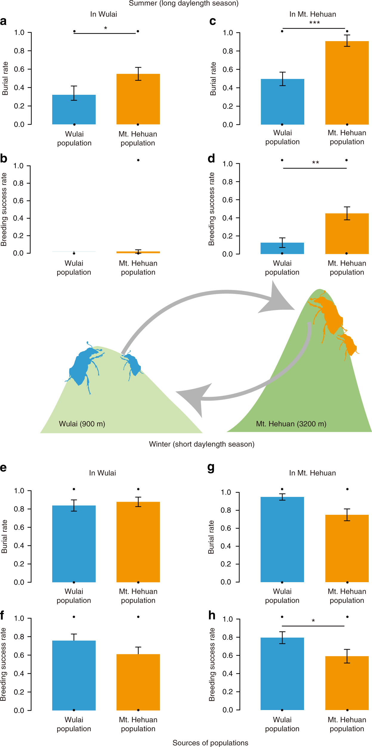 Fig. 6: Results of reciprocal transplant experiment between the low elevation Wulai and high elevation Mt. Hehuan populations in winter and summer.