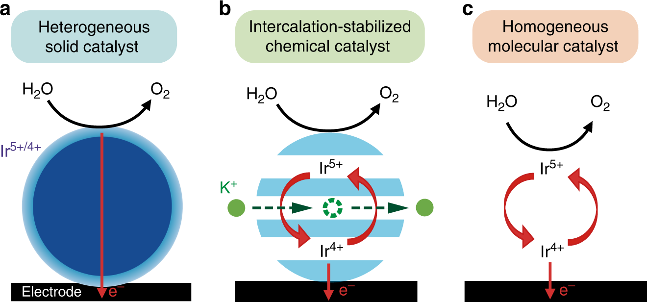 Constant Change: Exploring Dynamic Oxygen Evolution Reaction Catalysis and  Material Transformations in Strontium Zinc Iridate Perovskite in Acid