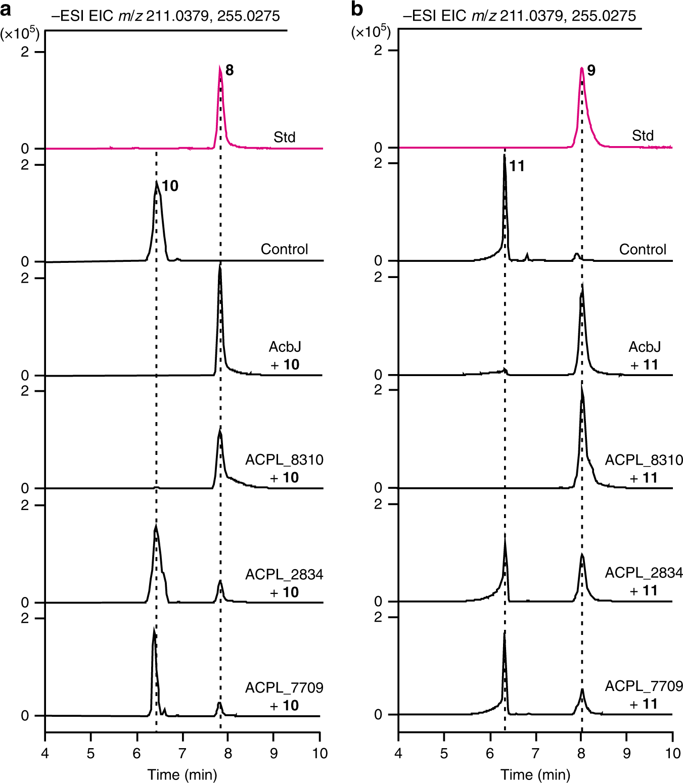 Fig. 3: Identification of hydrolases involved in the dephosphorylation of 10 and 11.