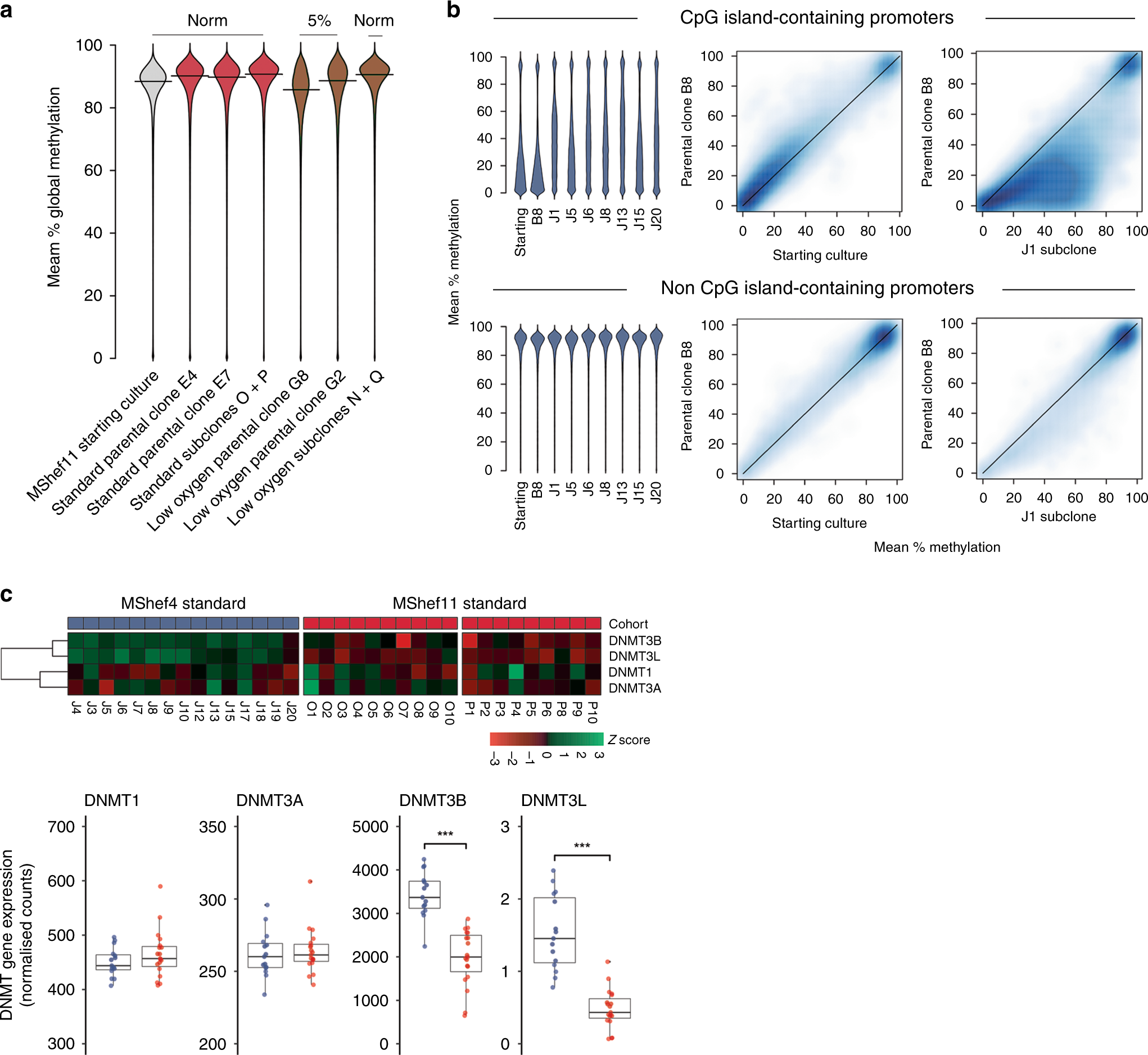 Fig. 6: Epigenetic changes.
