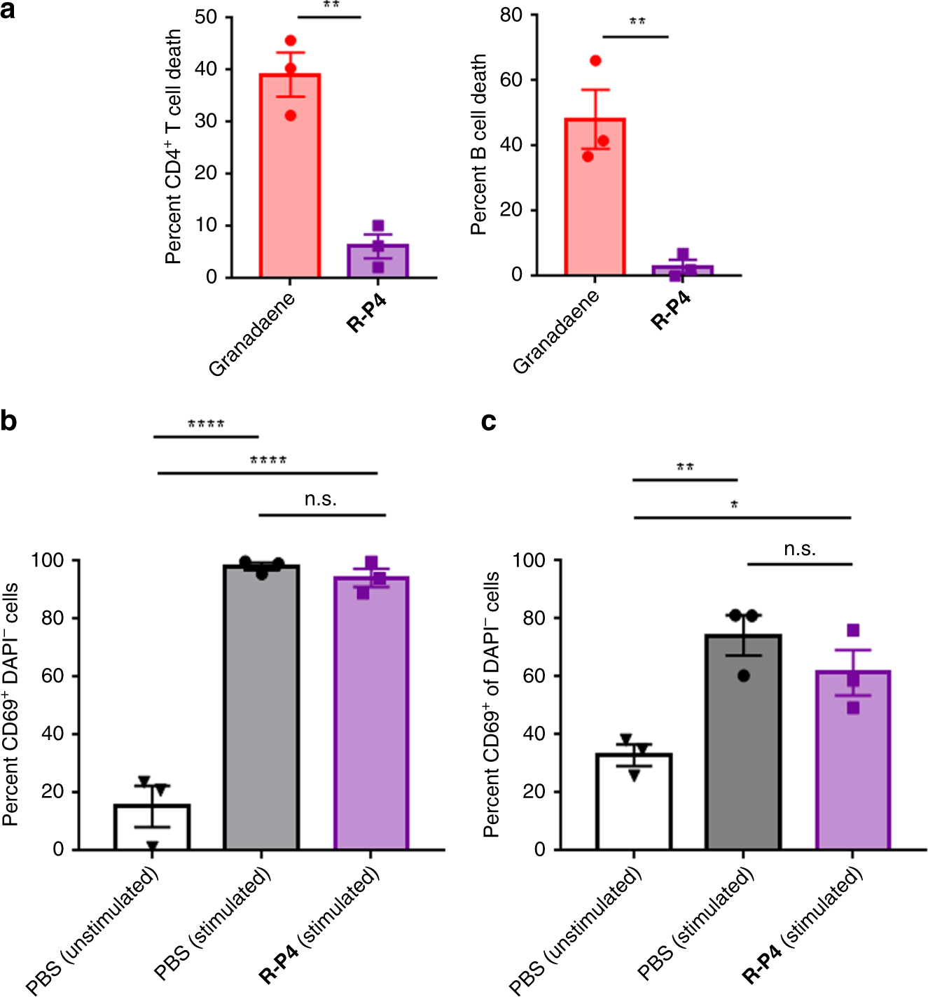 Fig. 4: R-P4 is non-toxic to T and B cells.