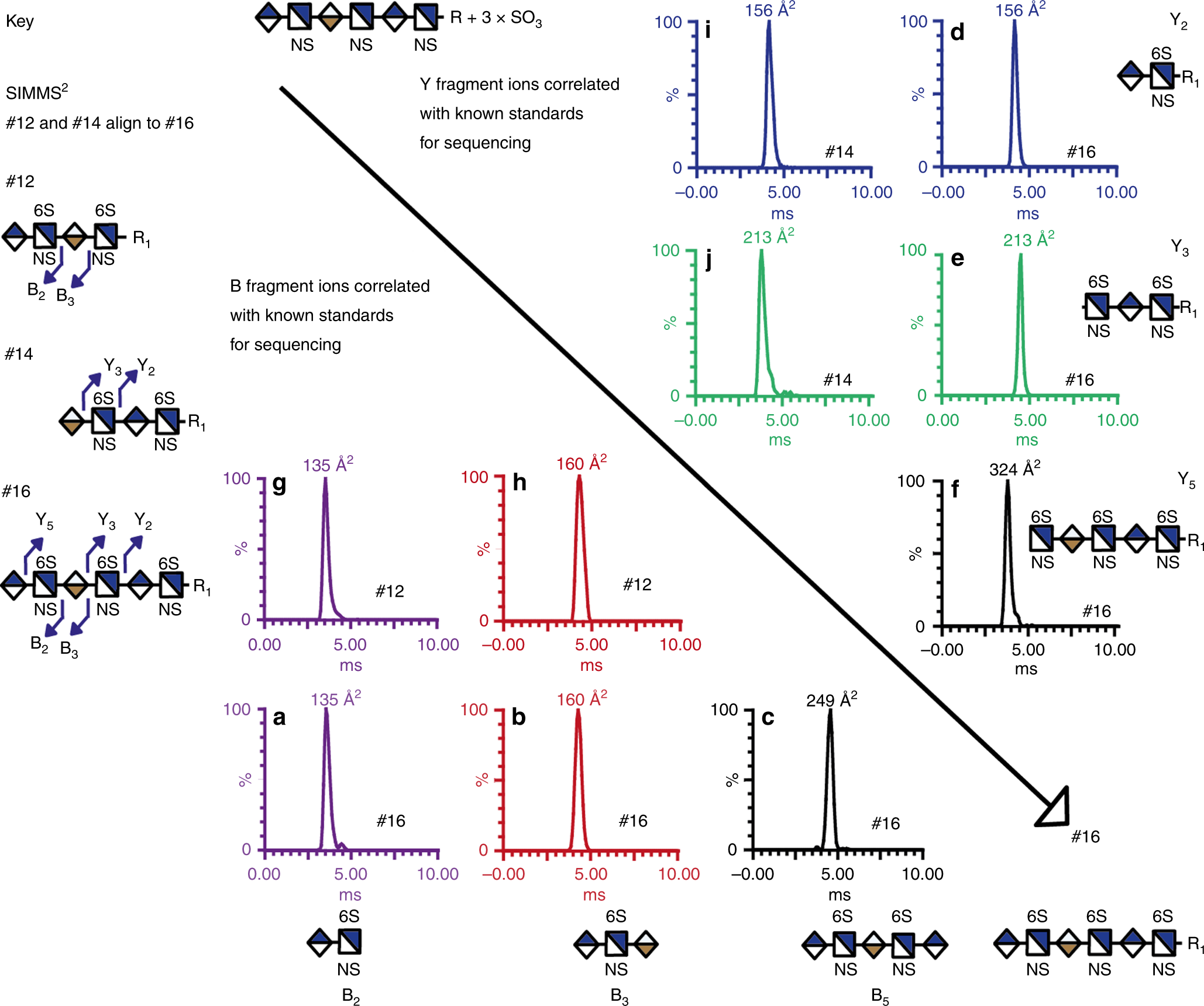 Fig. 3: Using the SIMMS2 method for sequencing a hexasaccharide.