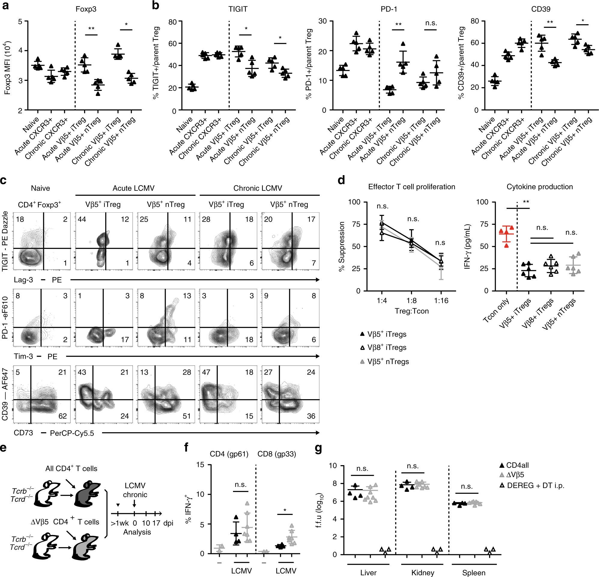 Fig. 2: Vβ5+ Treg cells are suppressive but not required for regulating anti-viral immunity.