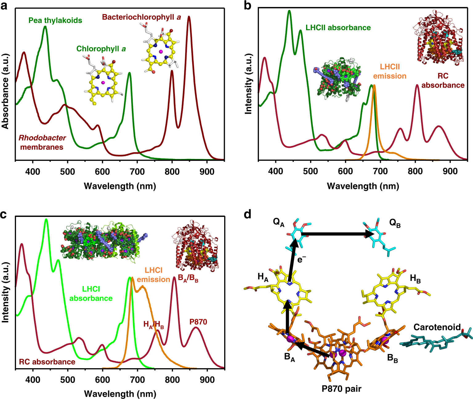 Polychromatic Solar Energy Conversion In Pigment Protein Chimeras That Unite The Two Kingdoms Of Bacterio Chlorophyll Based Photosynthesis Nature Communications