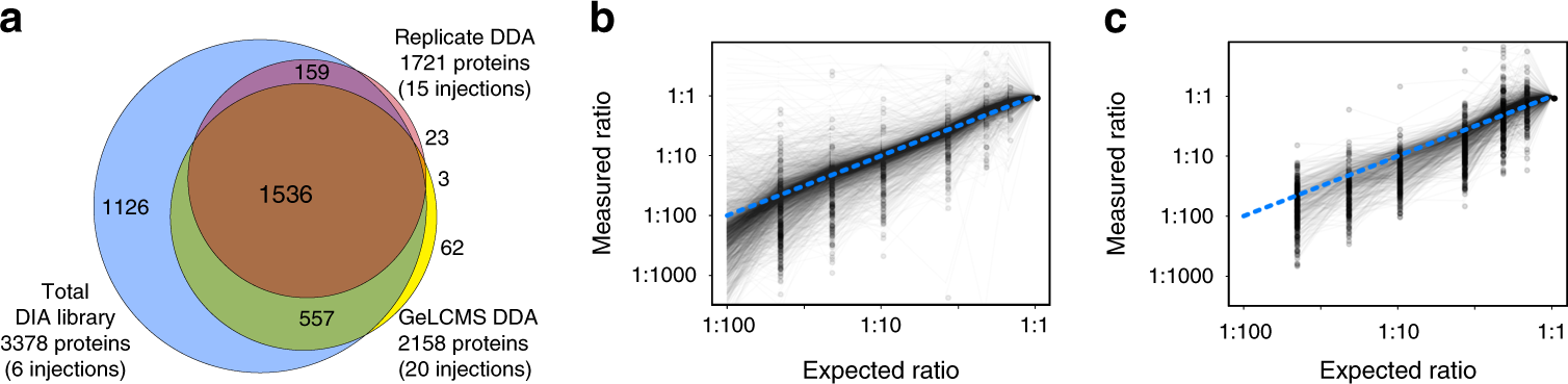 Fig. 4: Rapid library generation and quantitation of Plasmodium falciparum proteins.