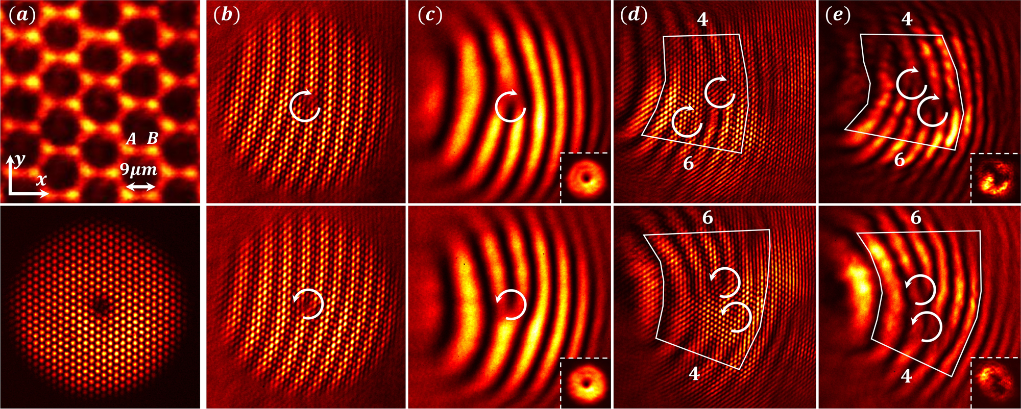 Fig. 2: Experimental demonstration of topological conversion in a pseudospin-1/2 honeycomb lattice.