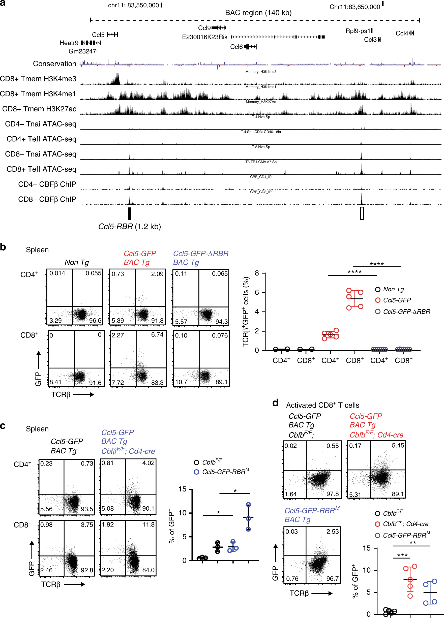 Fig. 2: Ccl5 expression is regulated by two stage-specific enhancers.