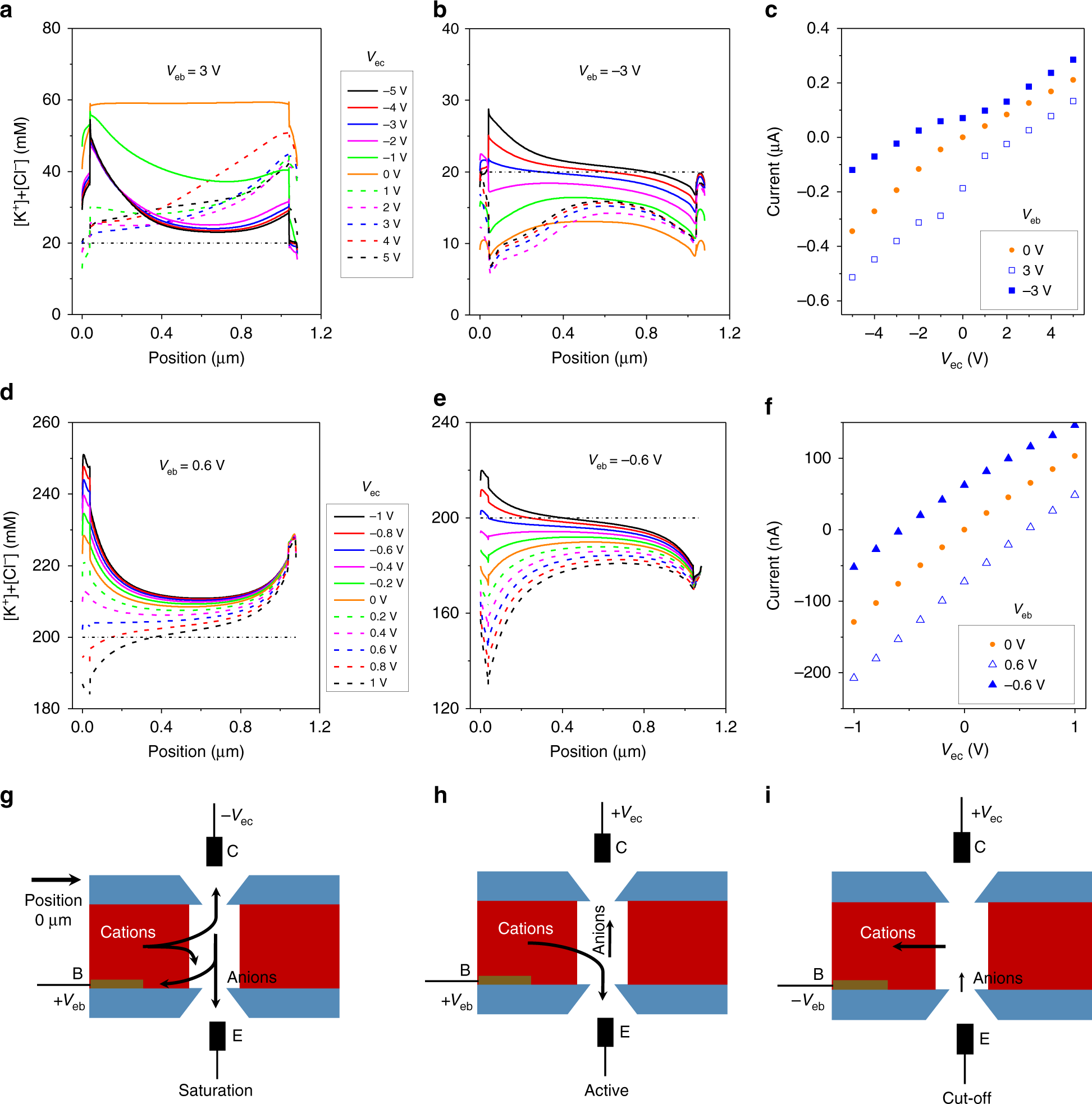 Fig. 3: Numerical modeling of ionic concentrations in a bipolar junction transistor.