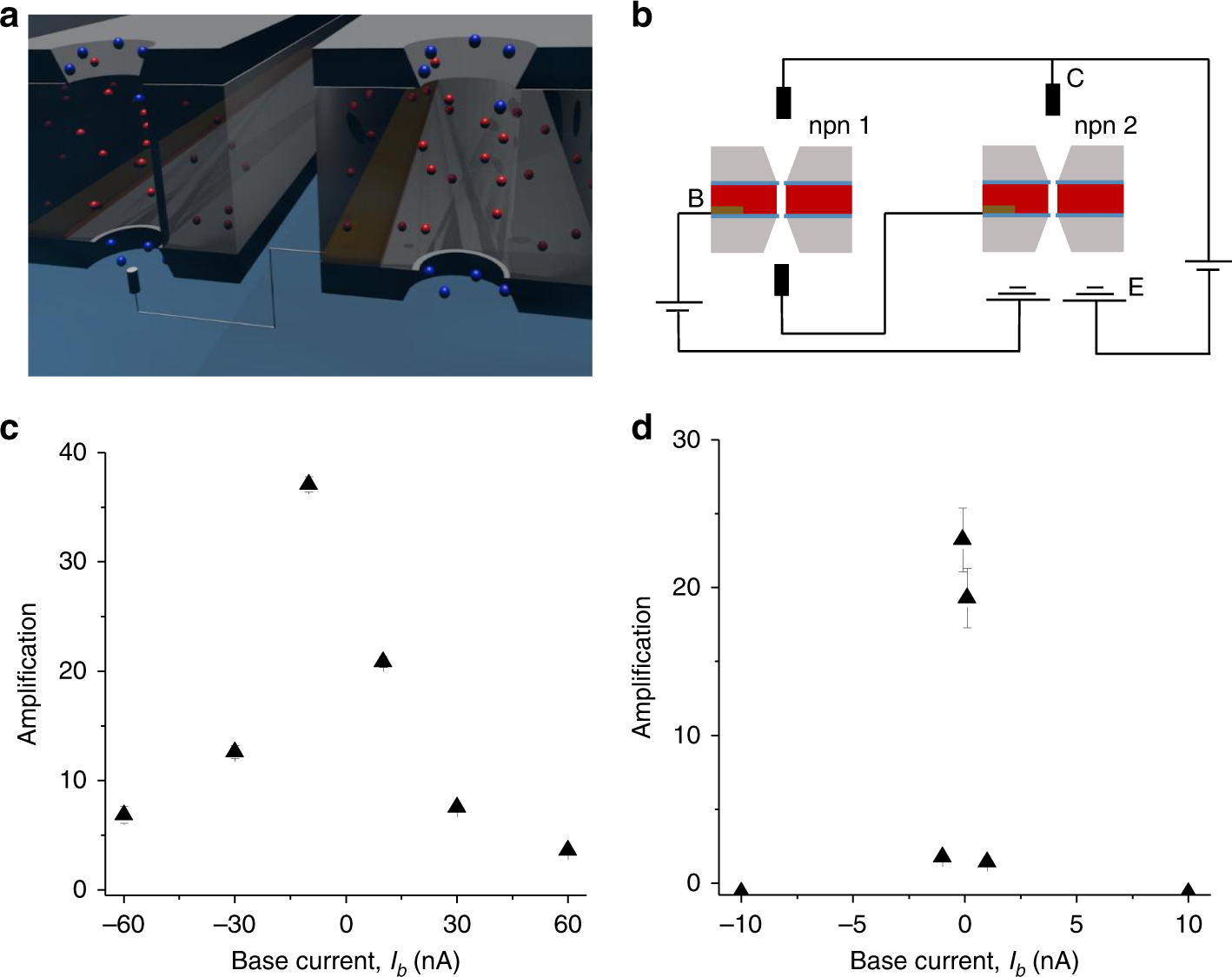 Fig. 5: Amplification performance of an ionic Darlington circuit.