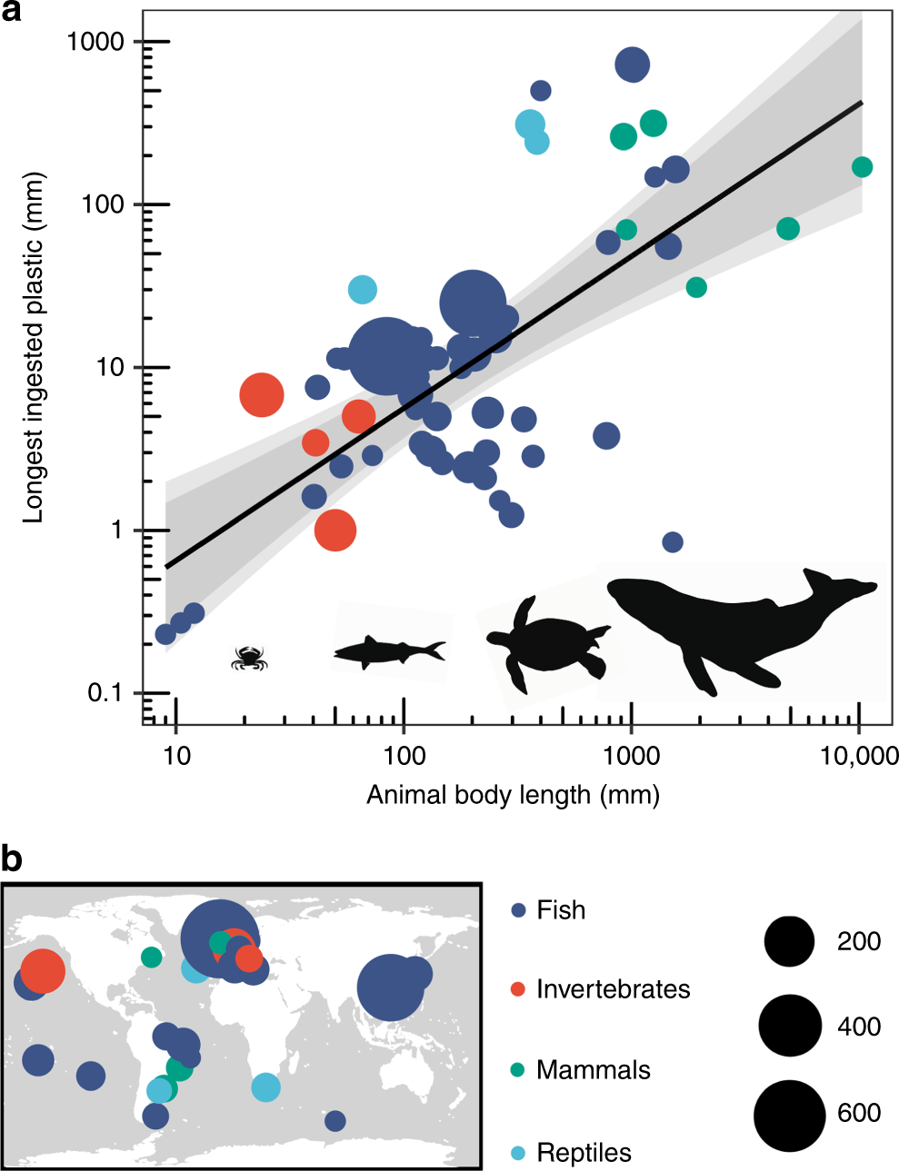Estimating the size distribution of plastics ingested by animals | Nature  Communications