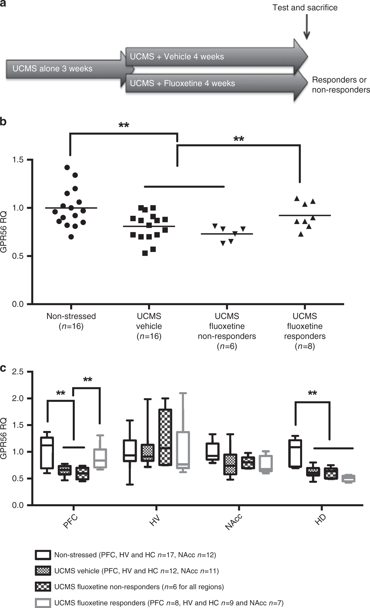 Fig. 2: Unpredictable chronic mild stress (UCMS) and antidepressant response dysregulate Gpr56 mRNA in blood and CNS in mice.