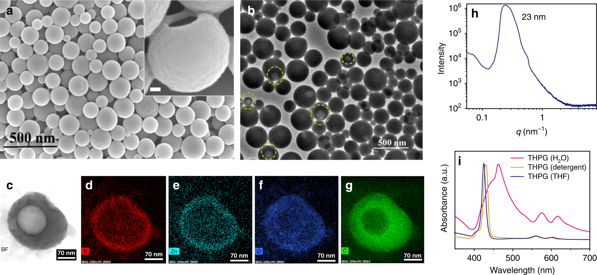 Fig. 2: Characterizations of THPG vesicles.
