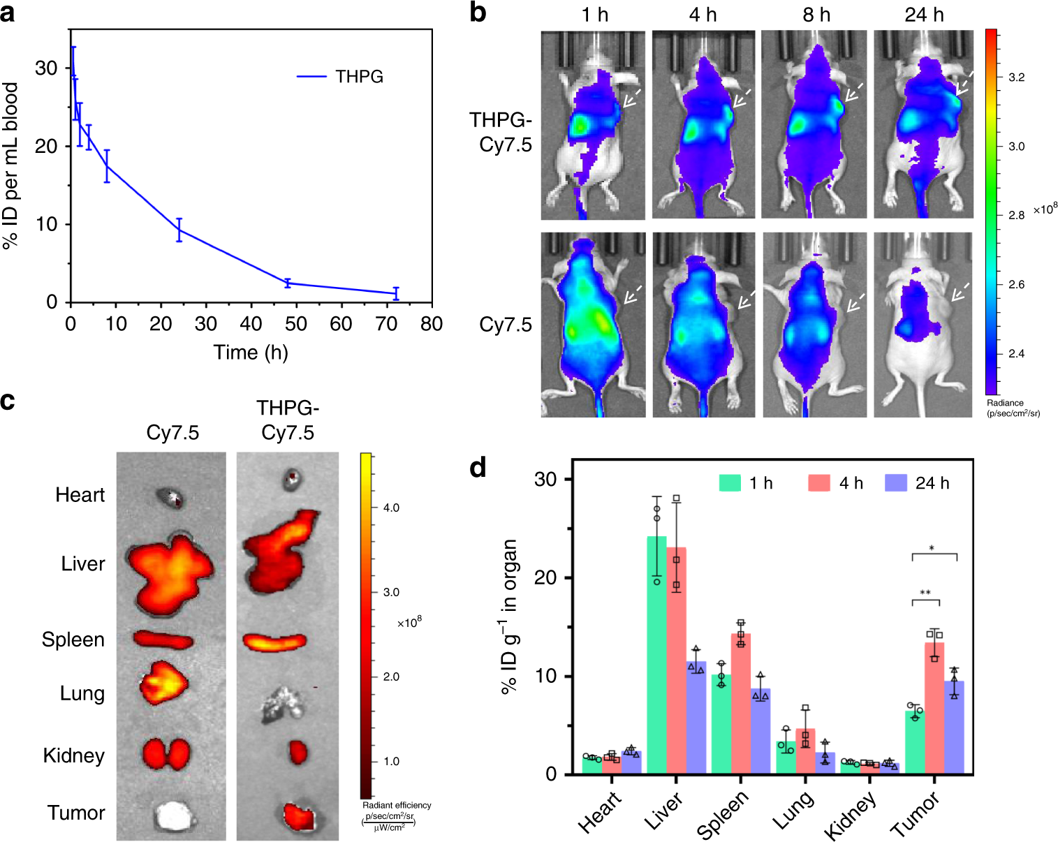 Fig. 6: The in vivo pharmacokinetic, imaging, and biodistribution studies of the THPG vesicles.