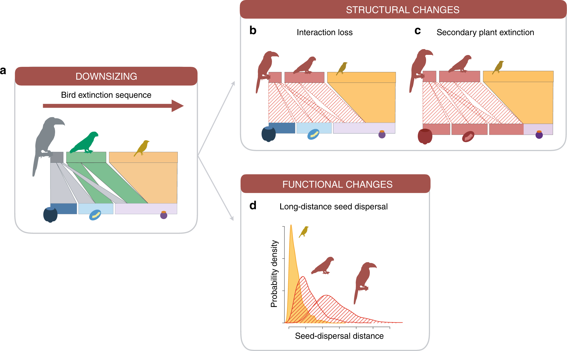 Downsizing of animal communities triggers stronger functional than structural decay in seed-dispersal networks | Nature Communications Downsizing of animal communities triggers stronger functional than structural decay in seed-dispersal networks | Nature Communications