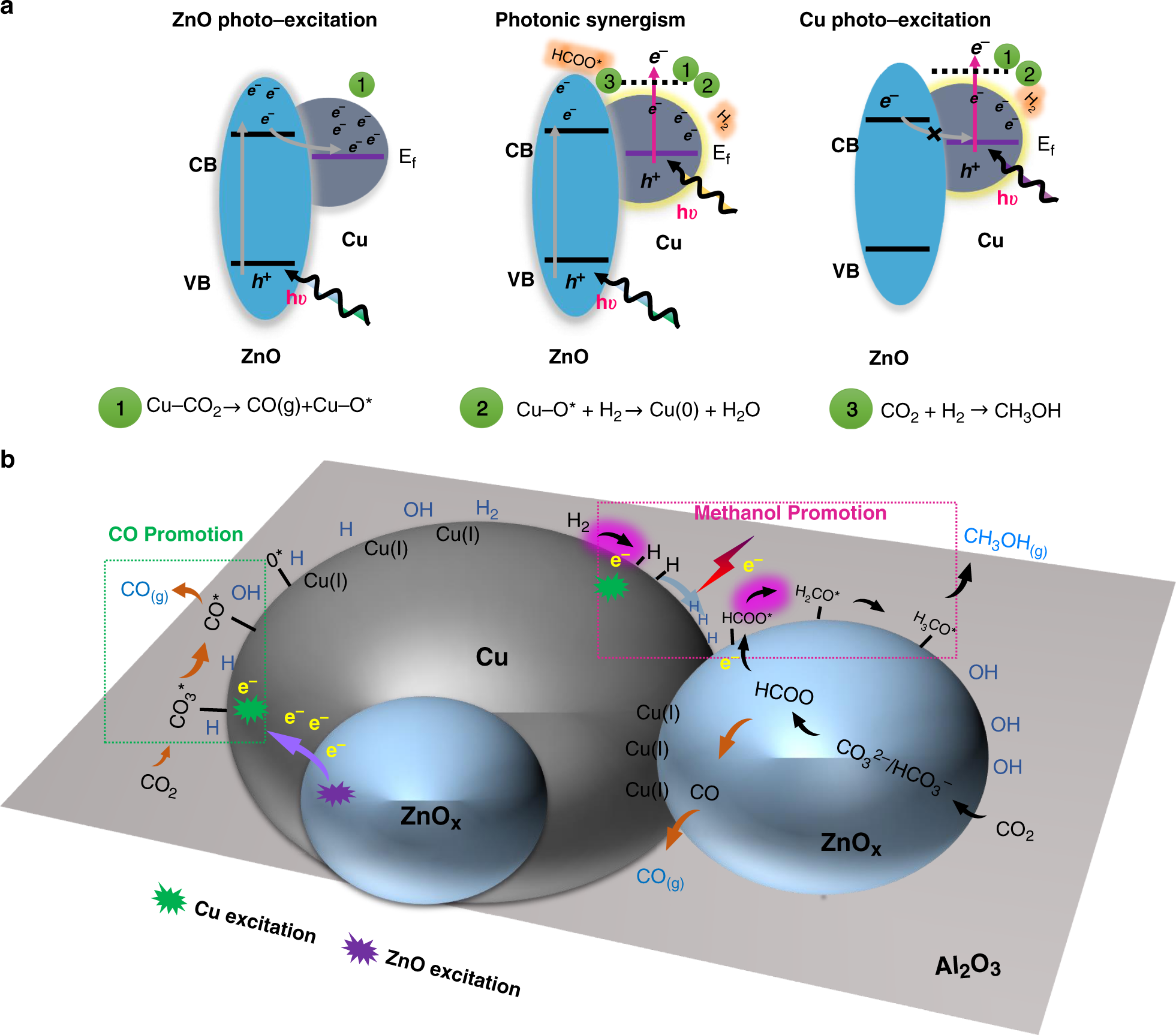 Fig. 6: Proposed light-assisted CO2 hydrogenation mechanism.