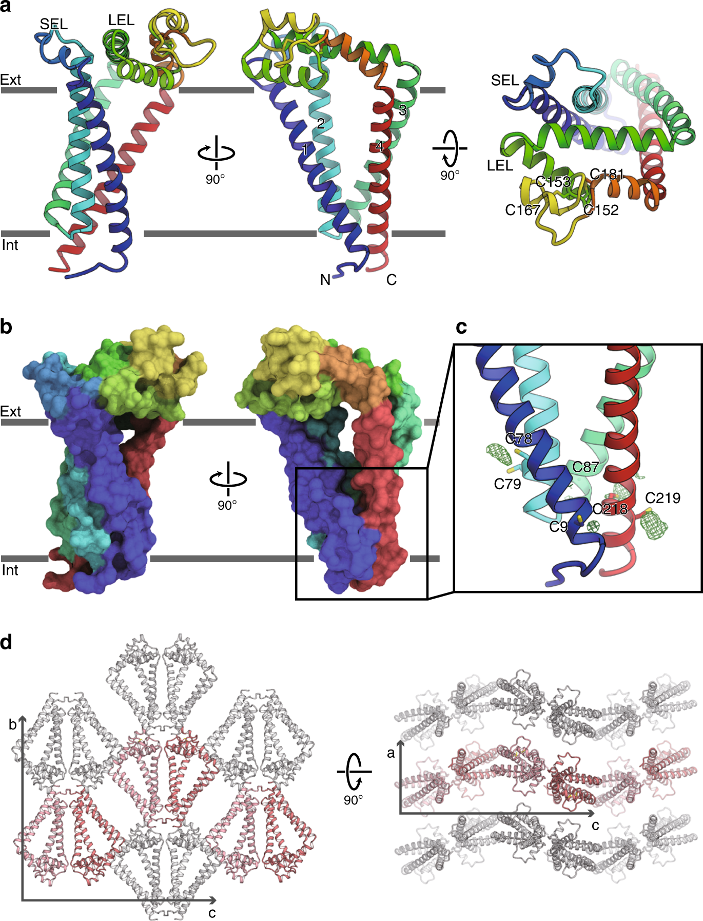 Structural insights into tetraspanin CD9 function | Nature Communications