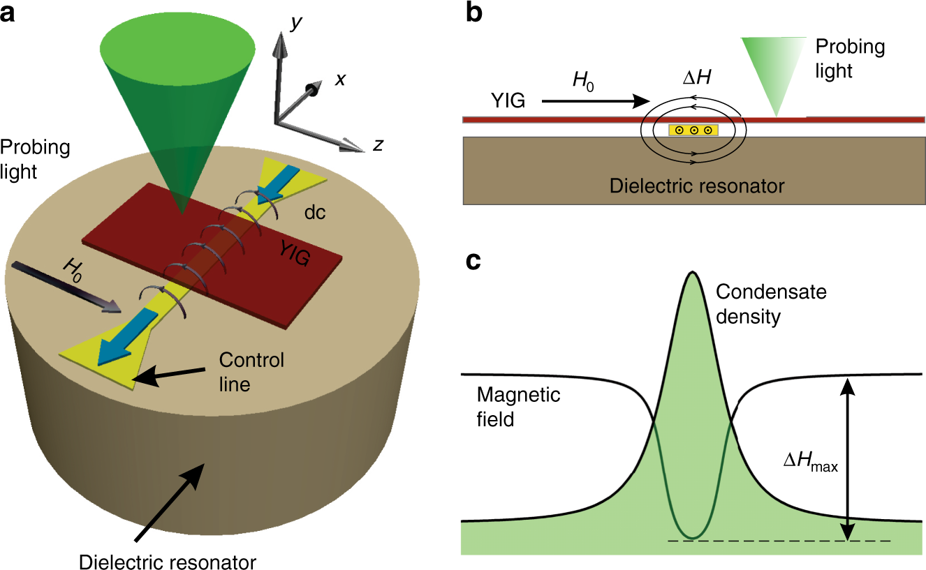 Direct evidence of spatial stability of Bose-Einstein condensate of magnons  | Nature Communications