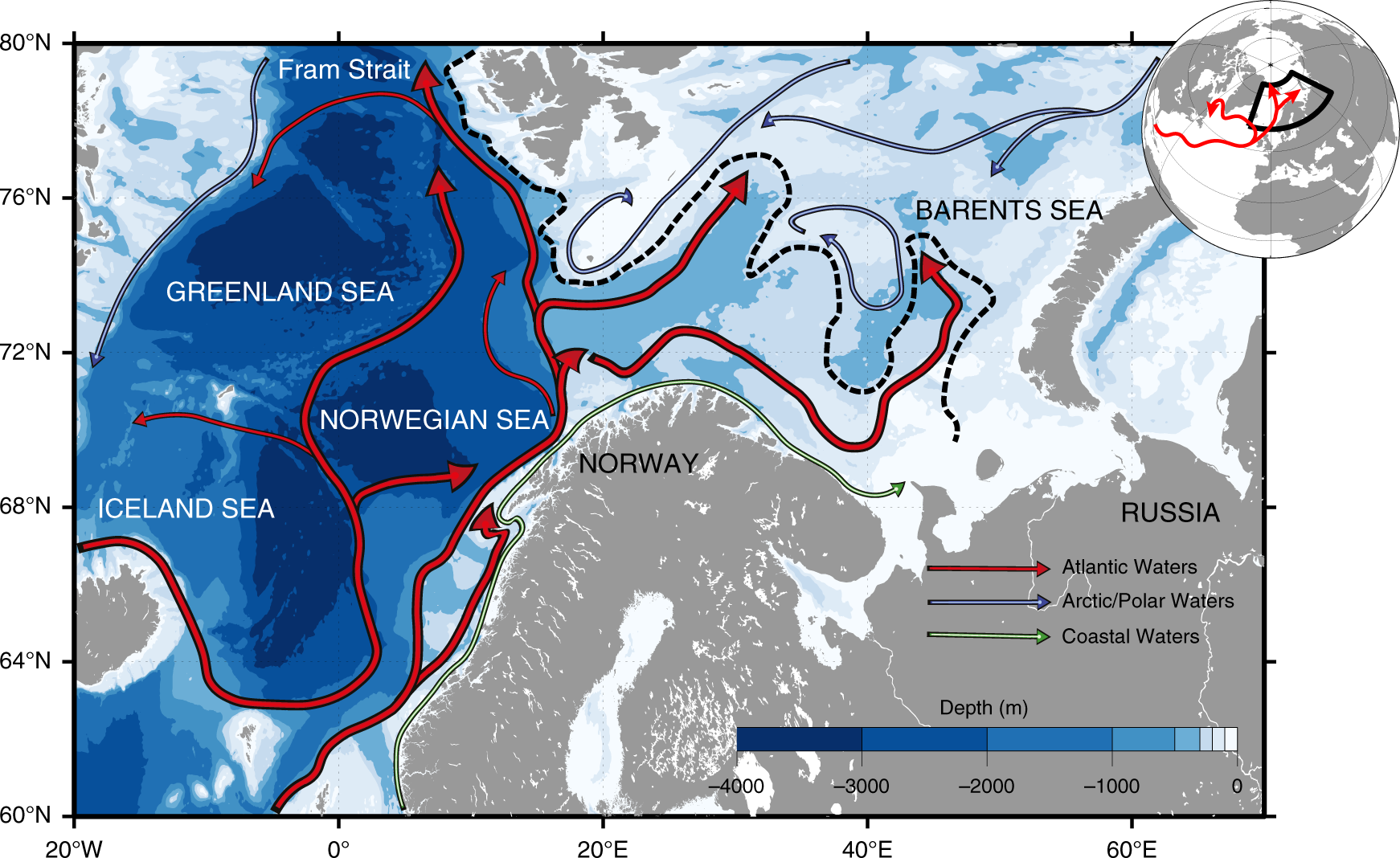 Faster Atlantic currents drive poleward expansion of temperate phytoplankton in the Arctic Ocean Nature Communications