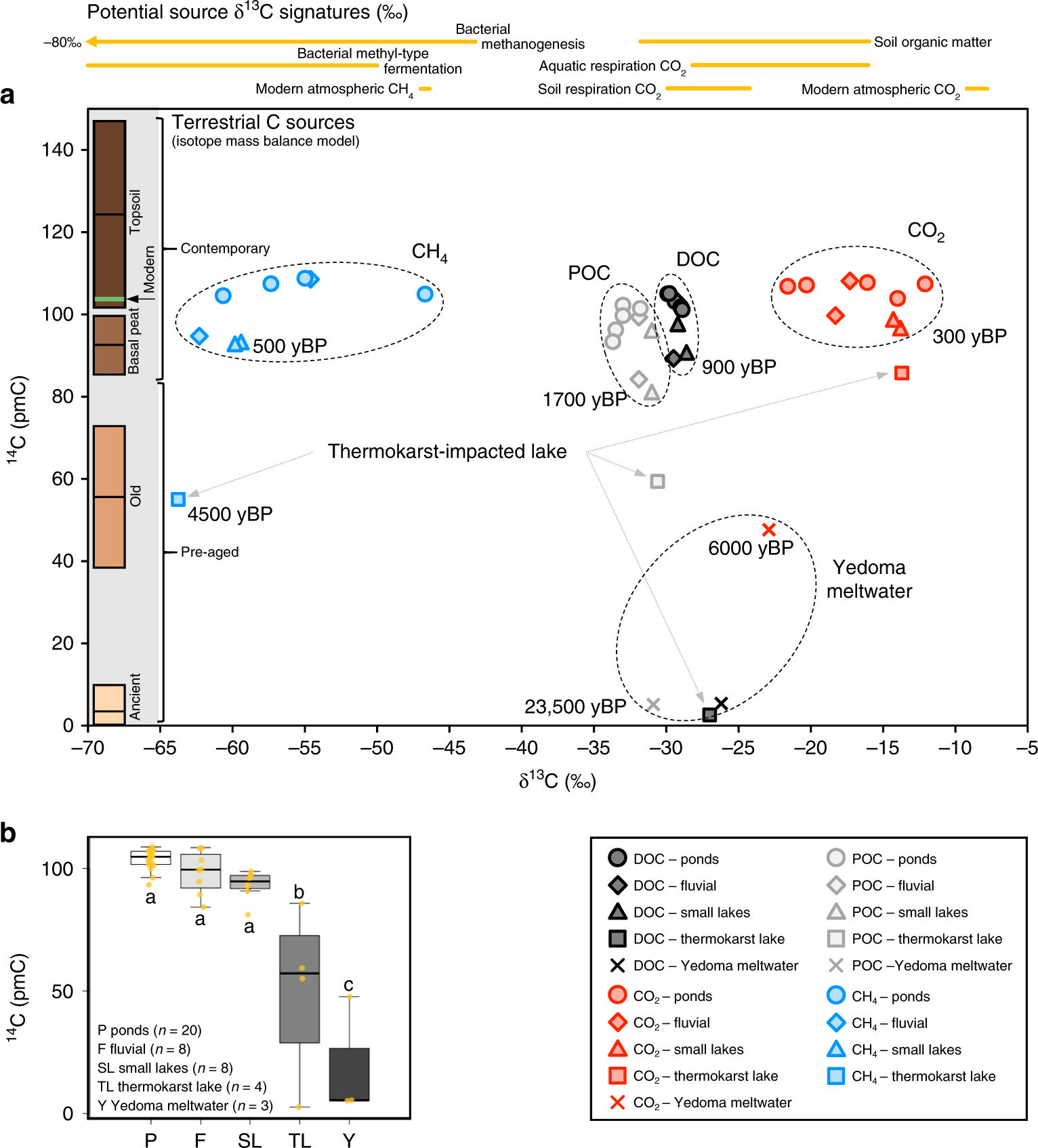 Fig. 2: Isotope (14C and δ13C) composition of all carbon forms.