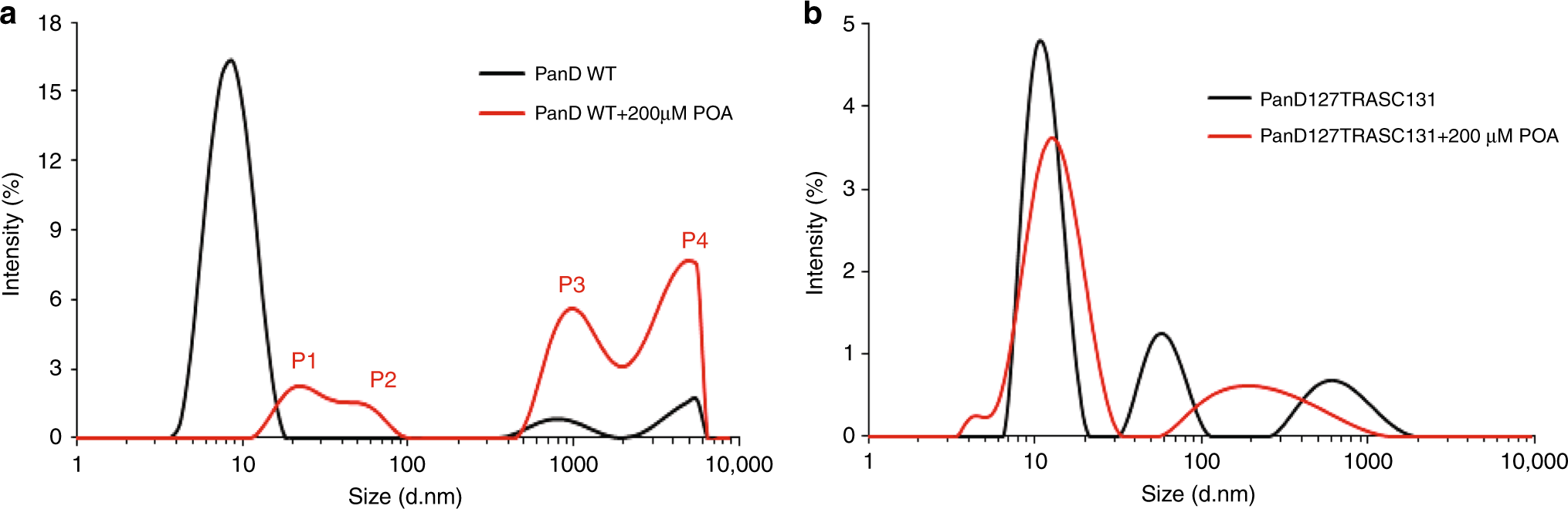 Fig. 5: Effect of POA on PanDWT and resistant mutant, non-POA binding PanD127TRASC131 as determined by dynamic light scattering.