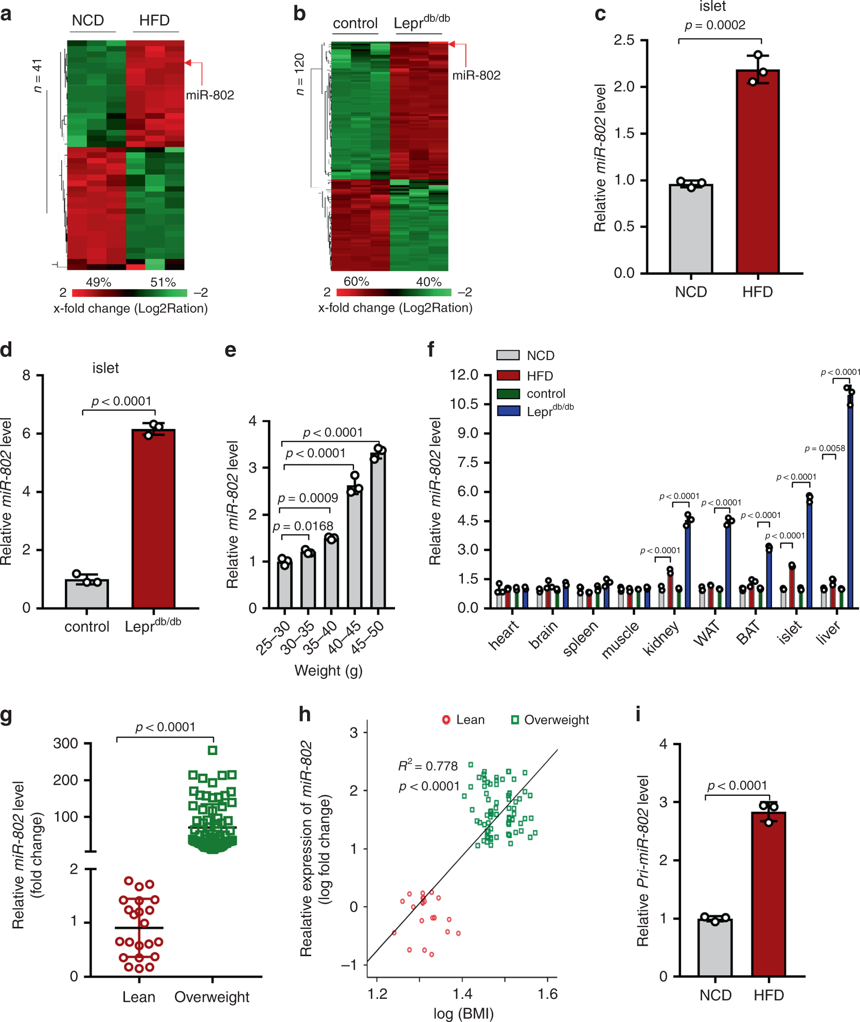 Fig. 1: miR-802 expression level in obese mice and obese individuals.