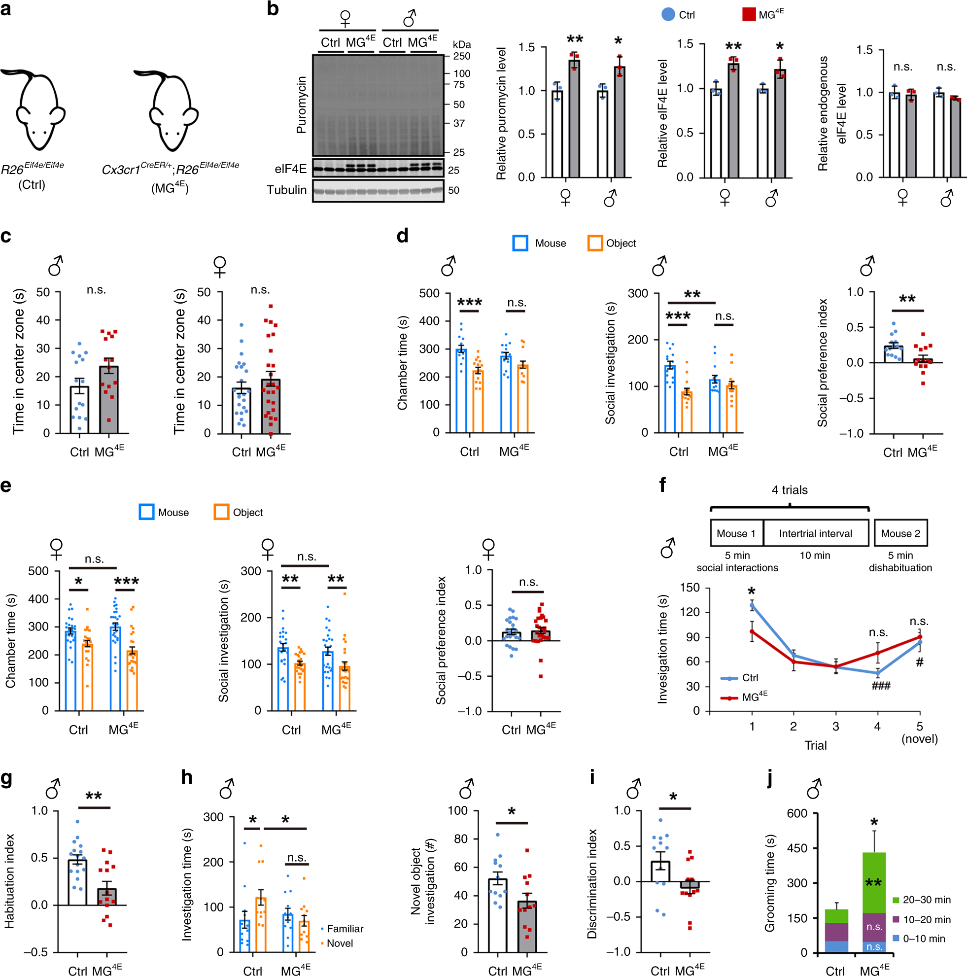 Fig. 2: Overexpression of eIF4E in microglia leads to social deficits.