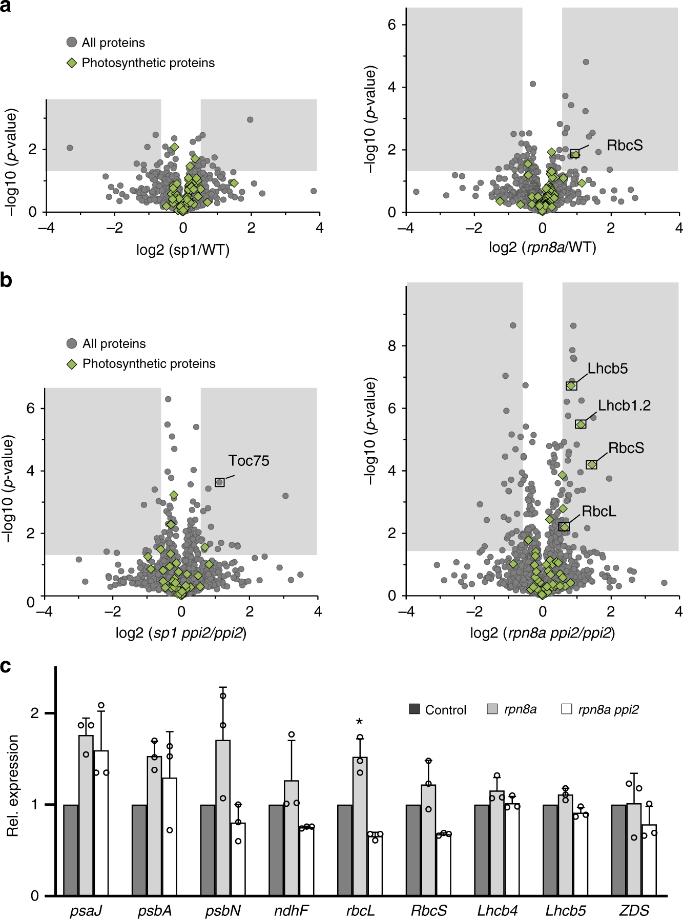 Fig. 5: Quantitative proteomics and real-time PCR analyses.