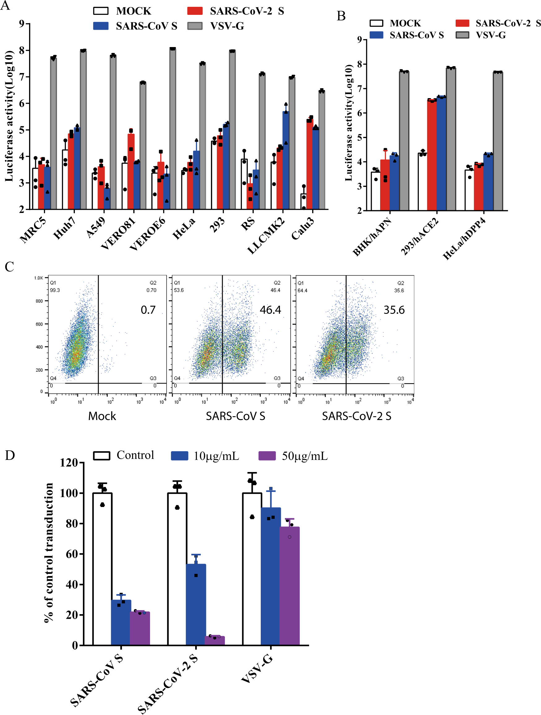 Fig. 2: Entry and receptor of SARS-CoV-2 S pseudovirons.