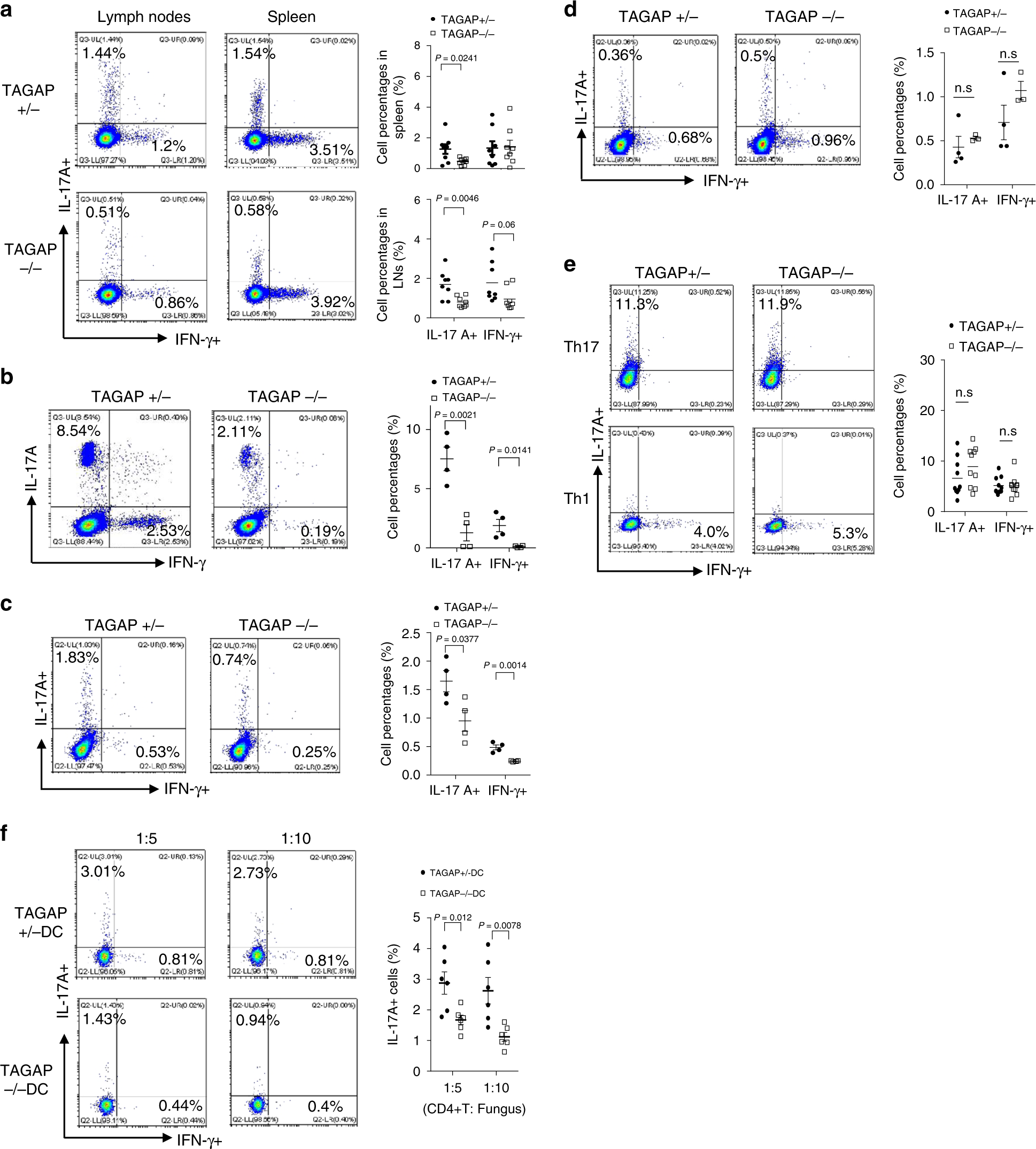 Fig. 5: TAGAP is important for T helper cell polarization in mice.