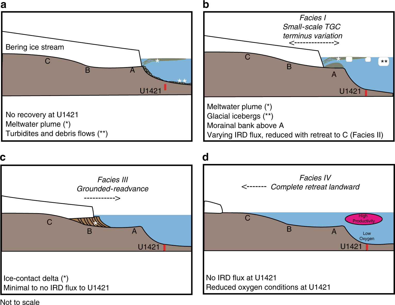 Fig. 4: Bering ice stream terminus position.