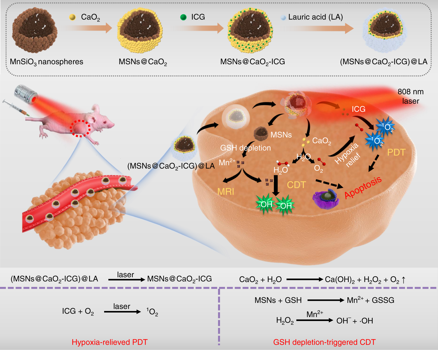 An open source and reduce expenditure ROS generation strategy for  chemodynamic/photodynamic synergistic therapy | Nature Communications