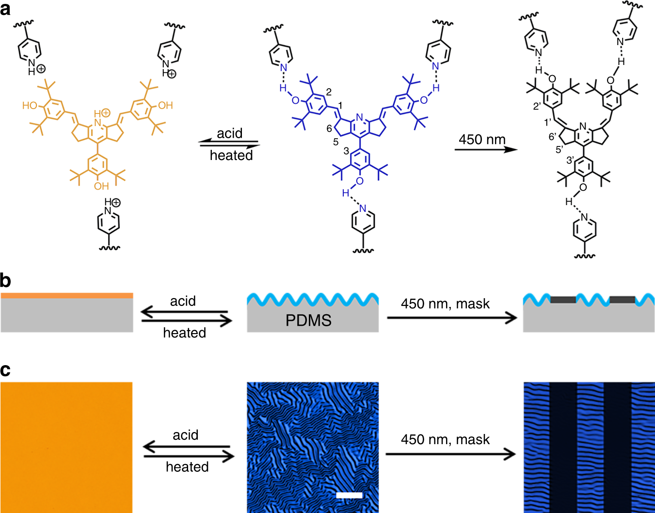 Fig. 1: Strategy for the production of the dynamic wrinkled pattern with tunable fluorescence.