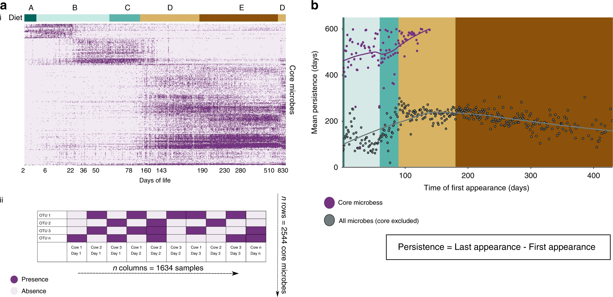 Fig. 3: The core successional microbiome persists throughout rumen microbiome development, showing age-dependent shifts.