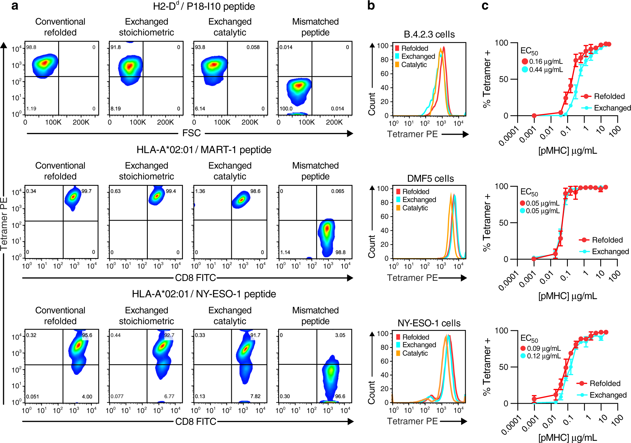 Fig. 5: Flow cytometry using TAPBPR-exchanged pMHC-I tetramers.