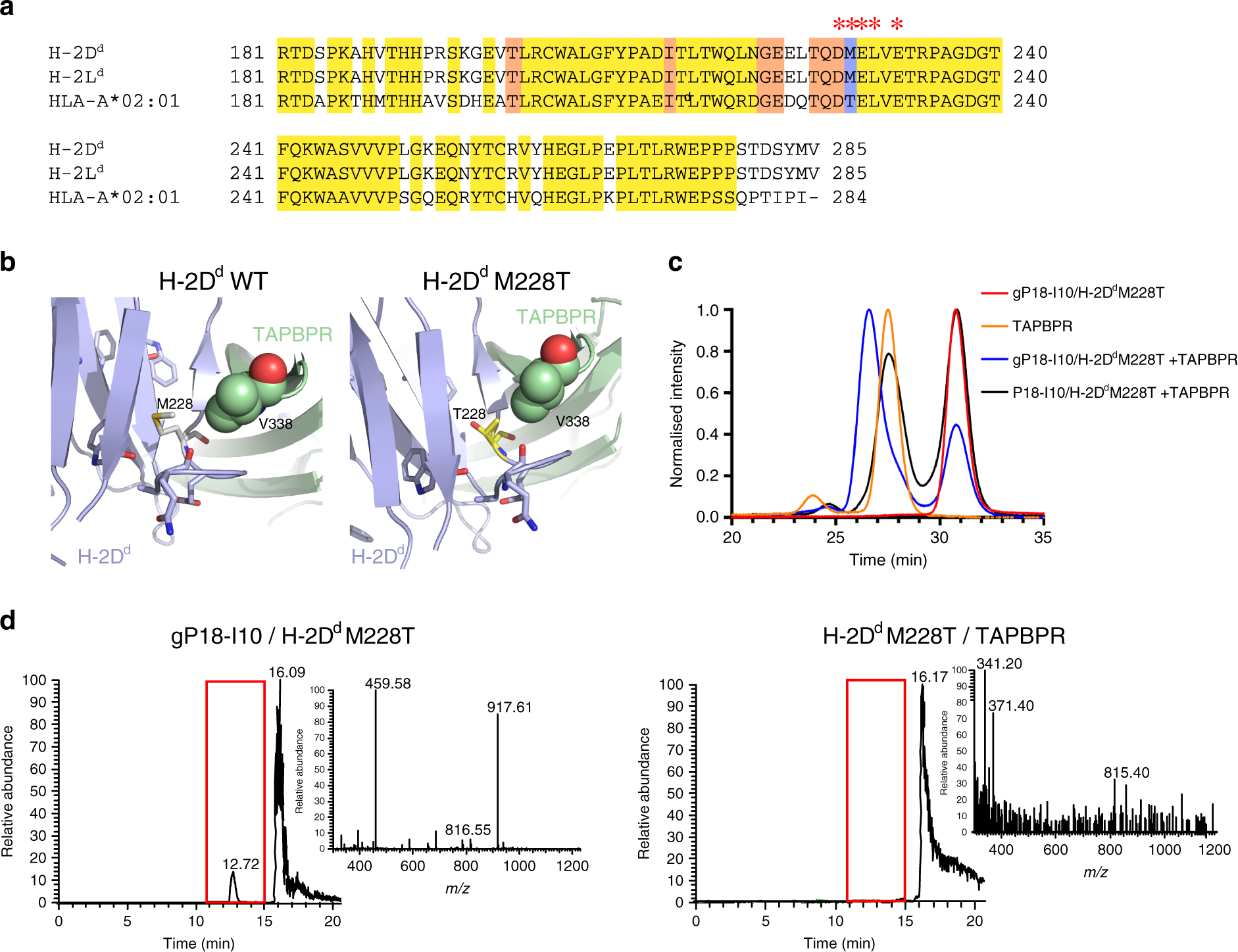 Fig. 6: Fine-tuning MHC-I/TAPBPR interactions through α3 domain mutants.