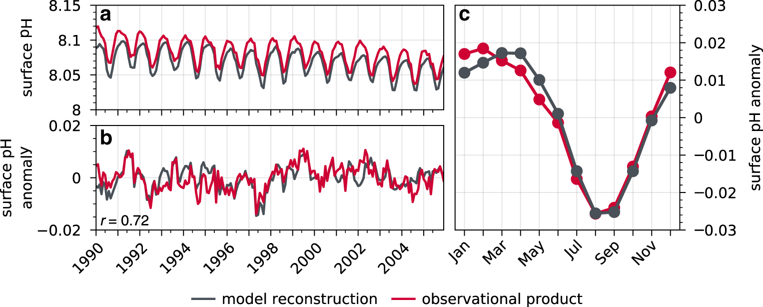 Fig. 2: Area-weighted temporal evaluation of surface pH.