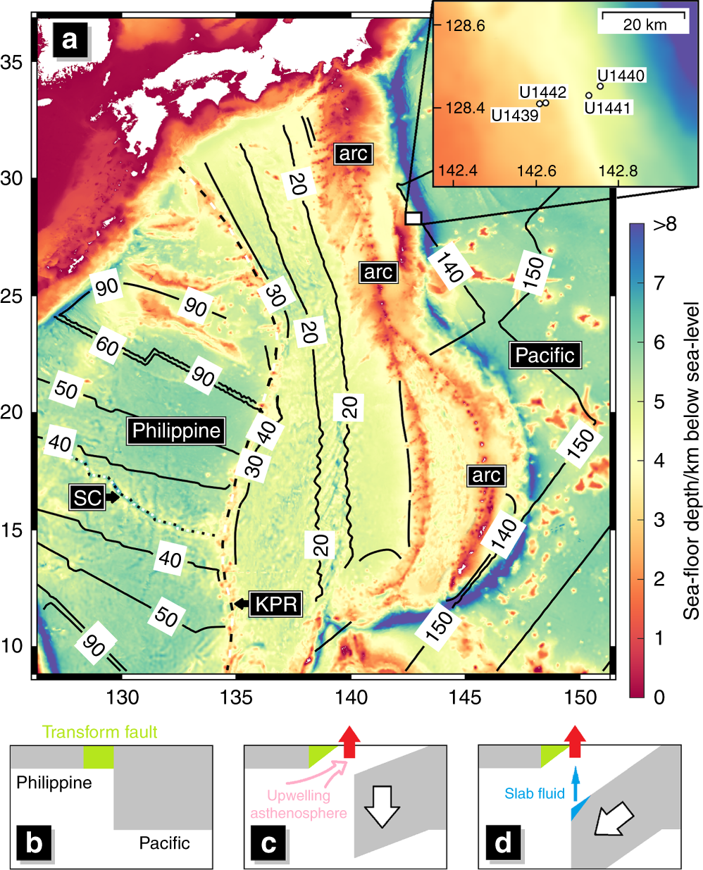 Rapid subduction initiation and magmatism in the Western Pacific driven by  internal vertical forces | Nature Communications