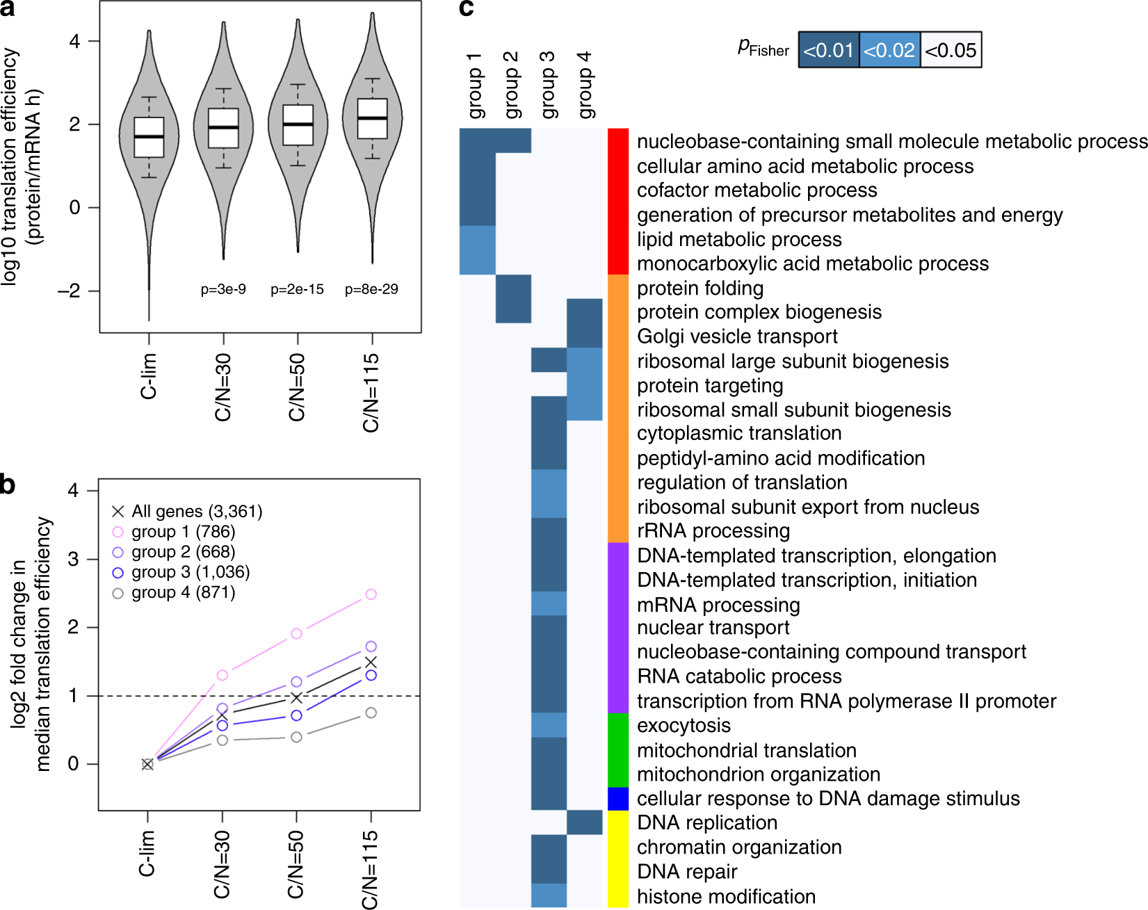 Fig. 4: Reserves of translational capacity are preferentially used to translate metabolic proteins.