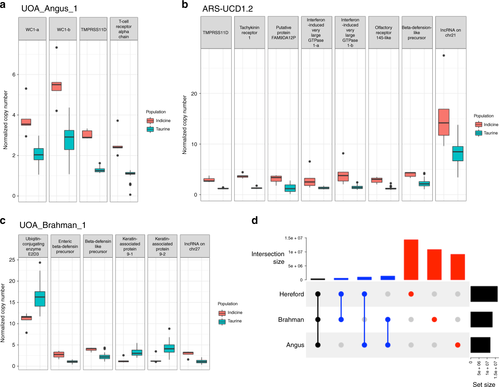 Fig. 5: Boxplot of normalized copy number of autosomal genes with Vst > 0.3.