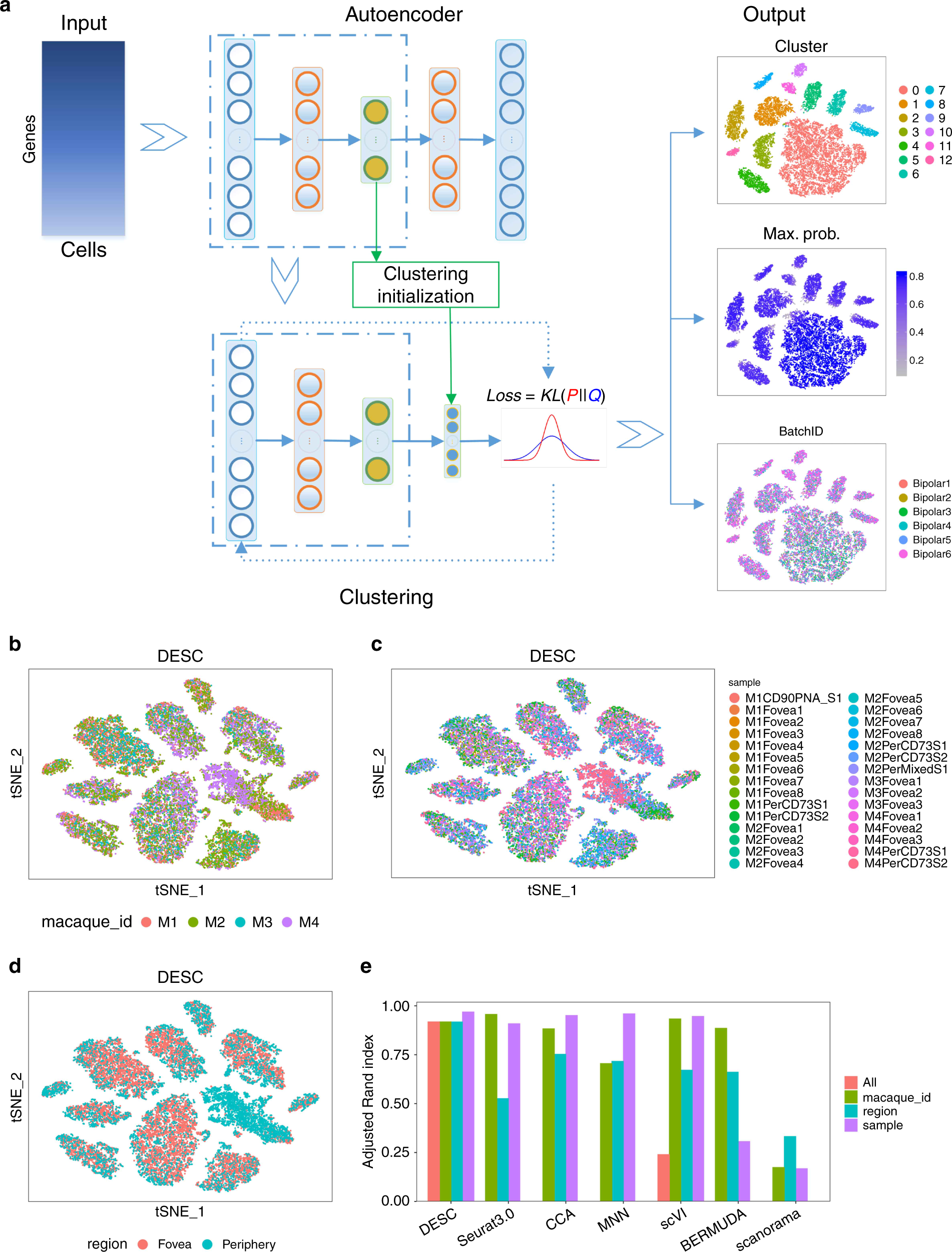 cKBET: assessing goodness of batch effect correction for single-cell RNA-seq