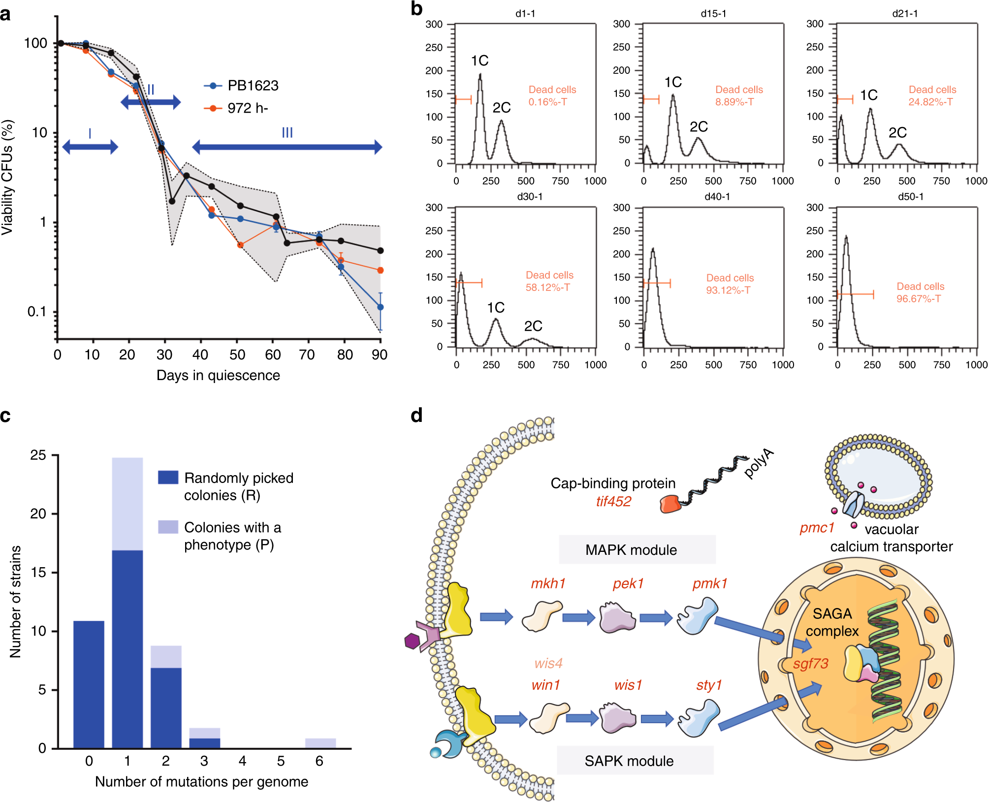 Fig. 1: Viability and distribution of mutations in nitrogen-starved cultures.