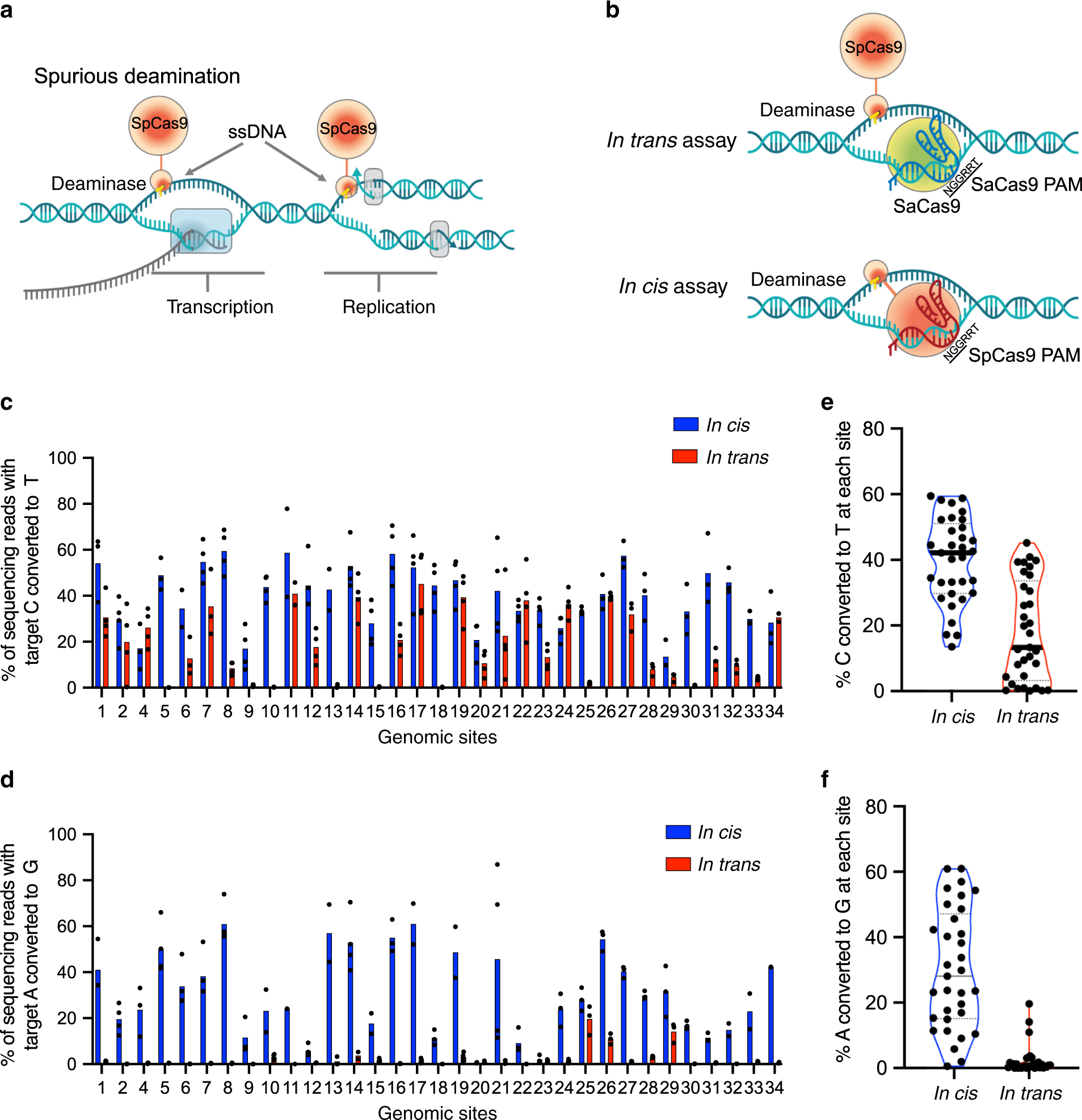 Cytosine base editors with minimized unguided DNA and RNA off-target events  and high on-target activity | Nature Communications