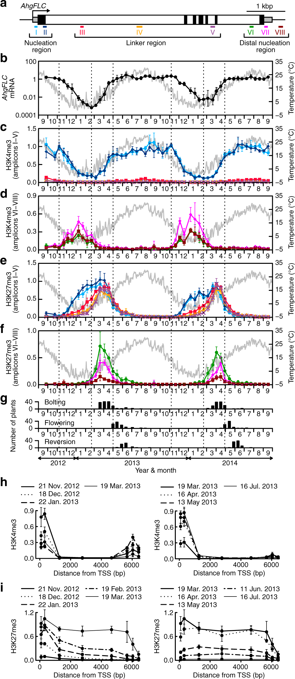 Repressive Chromatin Modification Underpins The Long Term Expression Trend Of A Perennial Flowering Gene In Nature Nature Communications