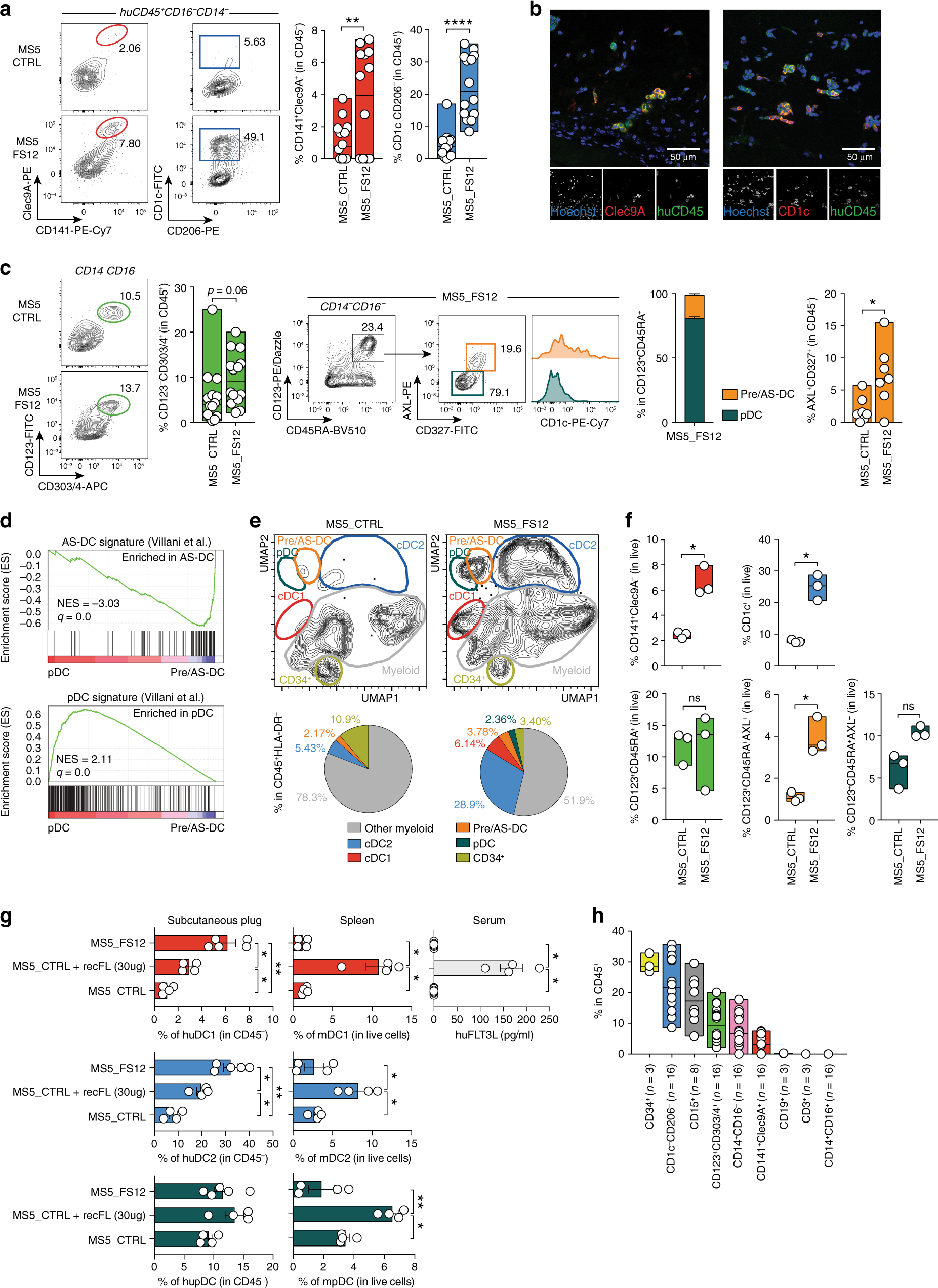 Fig. 6: The MS5_FS12 niche supports human DC development in vivo.