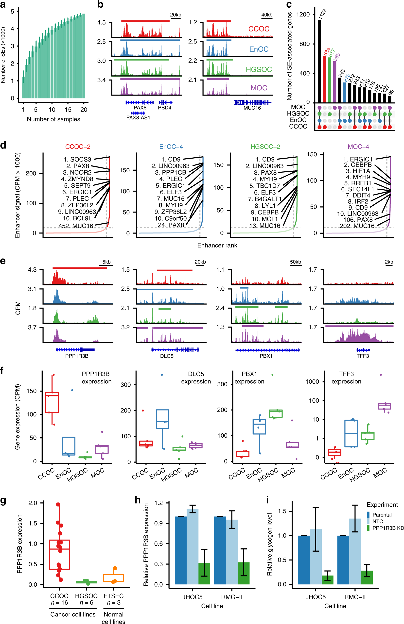 Fig. 2: Histotype-specific super-enhancers.