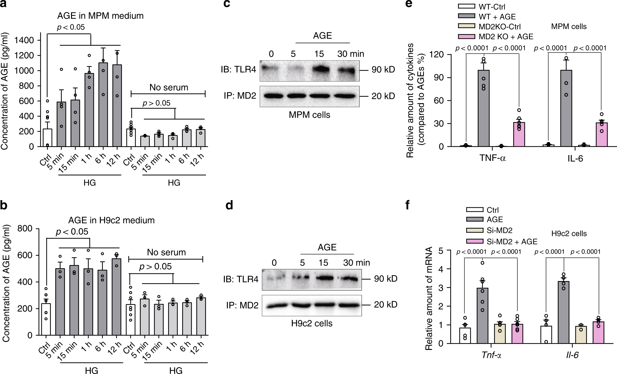 Fig. 5: AGE products stimulate MD2-dependent inflammatory responses.