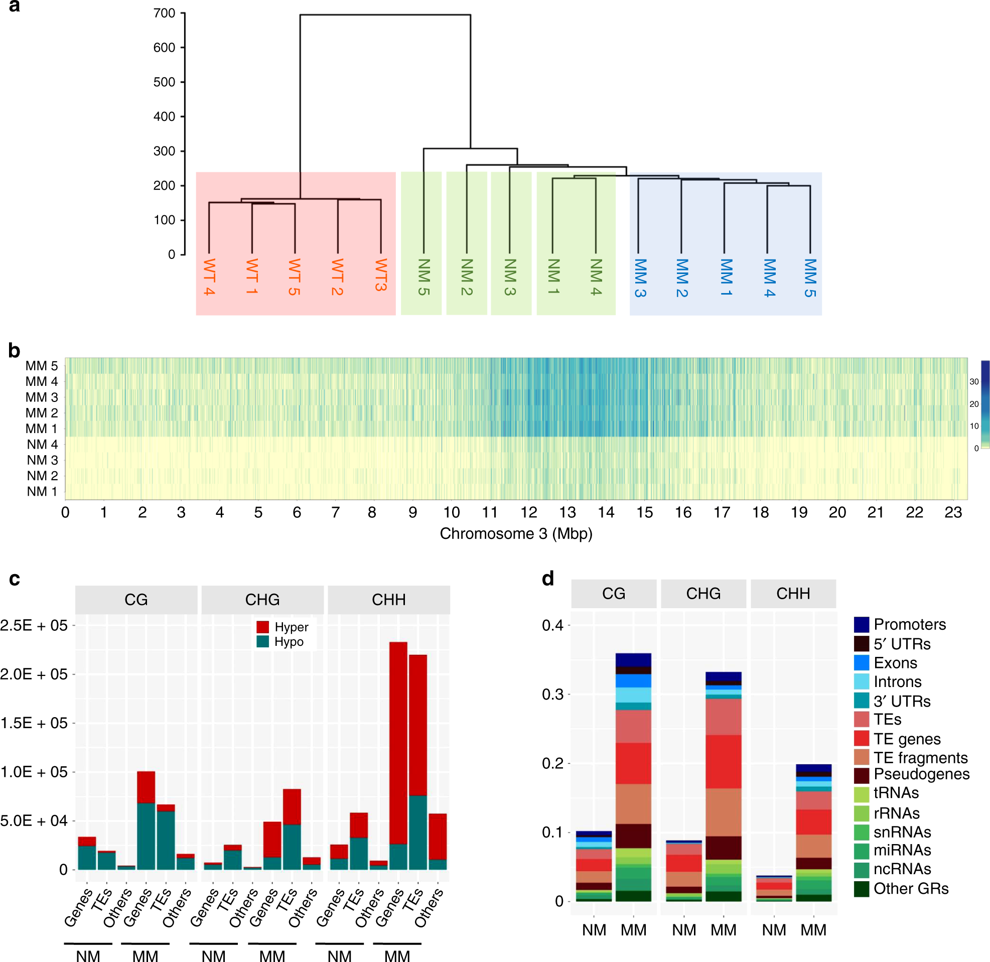 Fig. 4: High-resolution discrimination of memory and nonmemory methylome features.