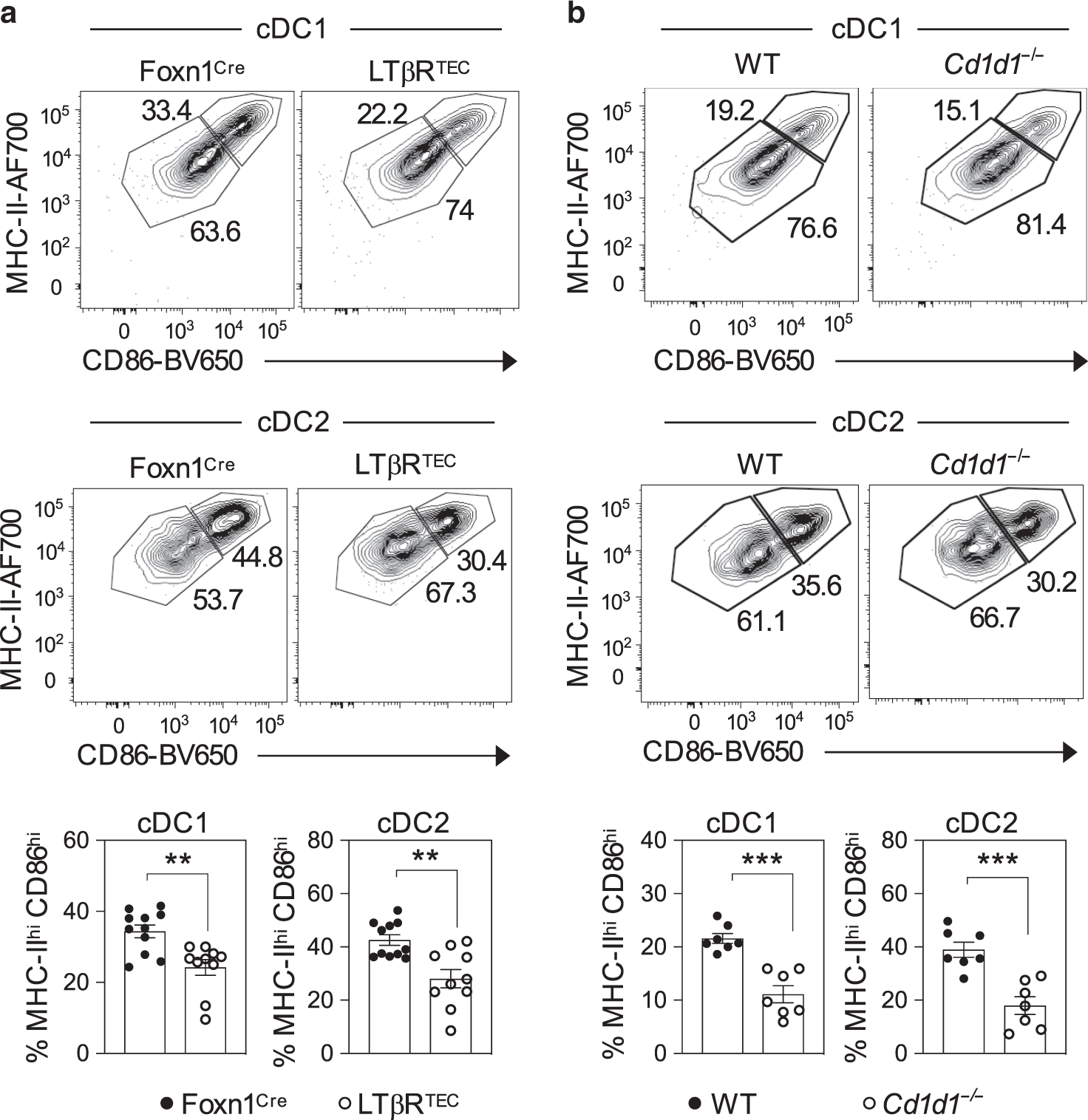 Fig. 7: Impaired dendritic cell activation in LTβRTEC mice.